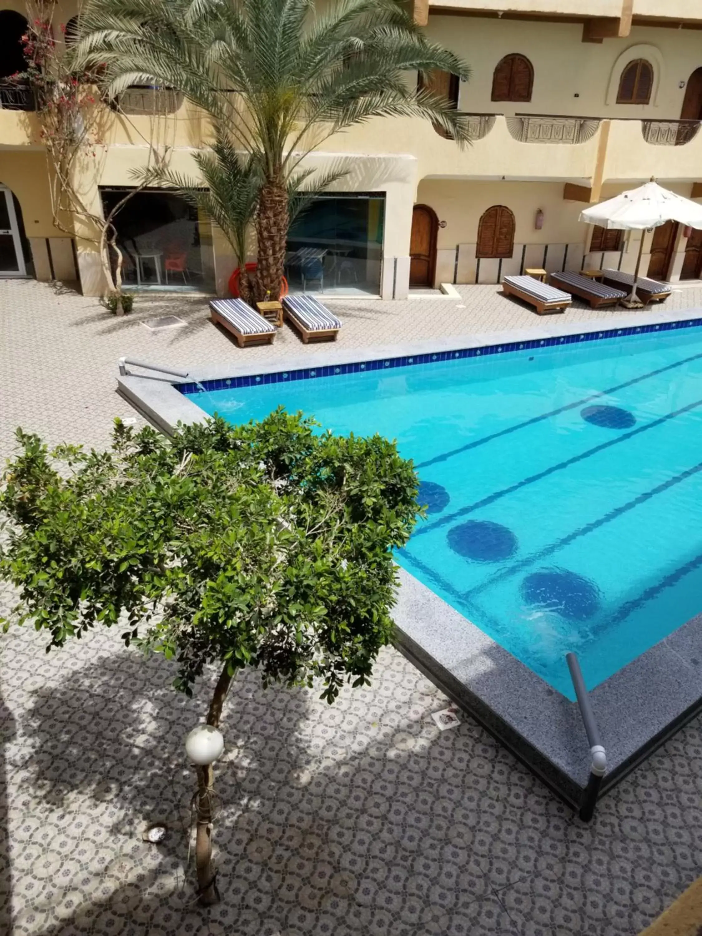 Swimming Pool in Dahab Plaza Hotel