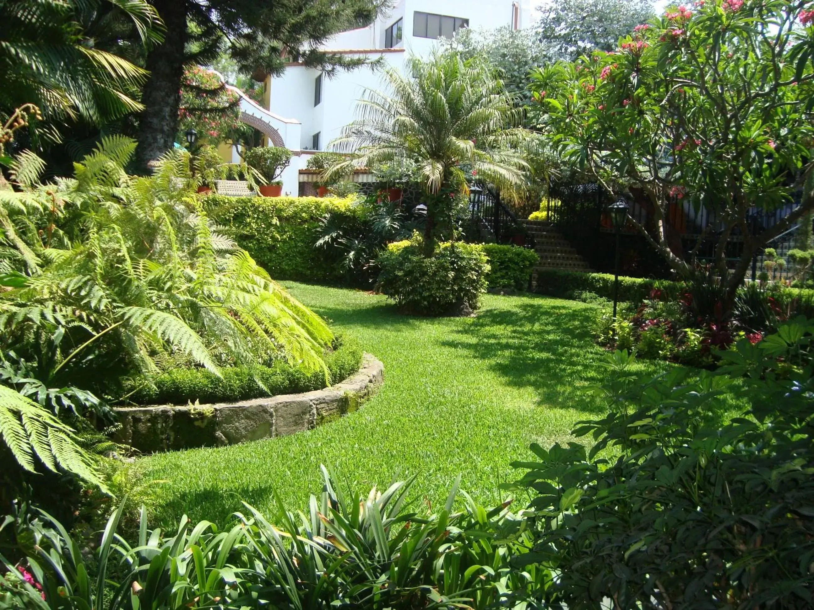 Day, Garden in Hotel Vista Hermosa