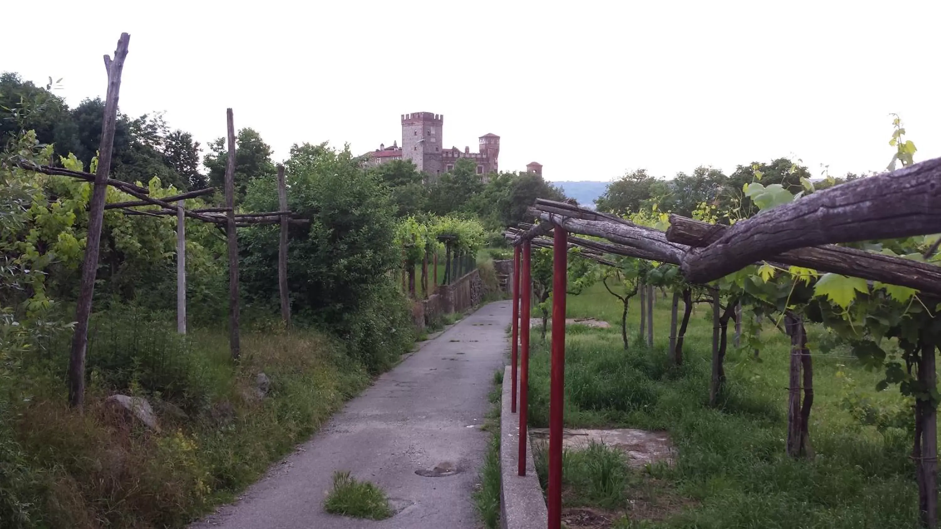 Garden in Castello Di Pavone