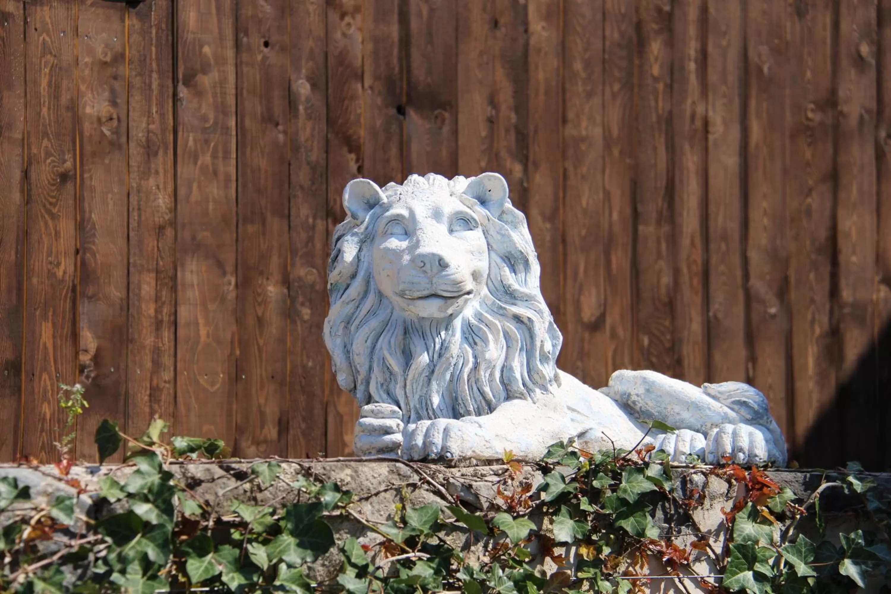 Logo/Certificate/Sign in Zum Schwarzen Löwen