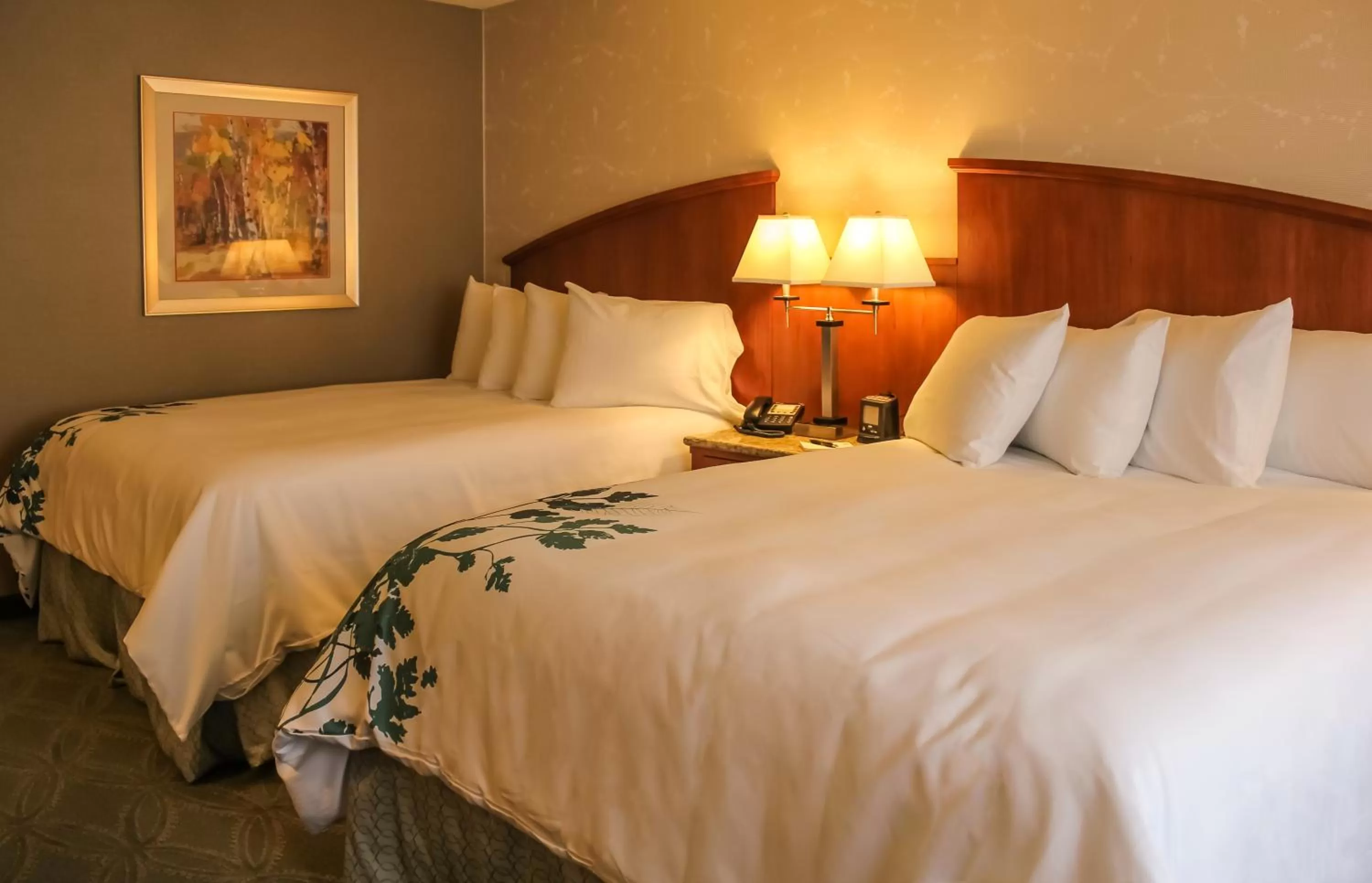 Photo of the whole room, Bed in Wingate by Wyndham Elkins