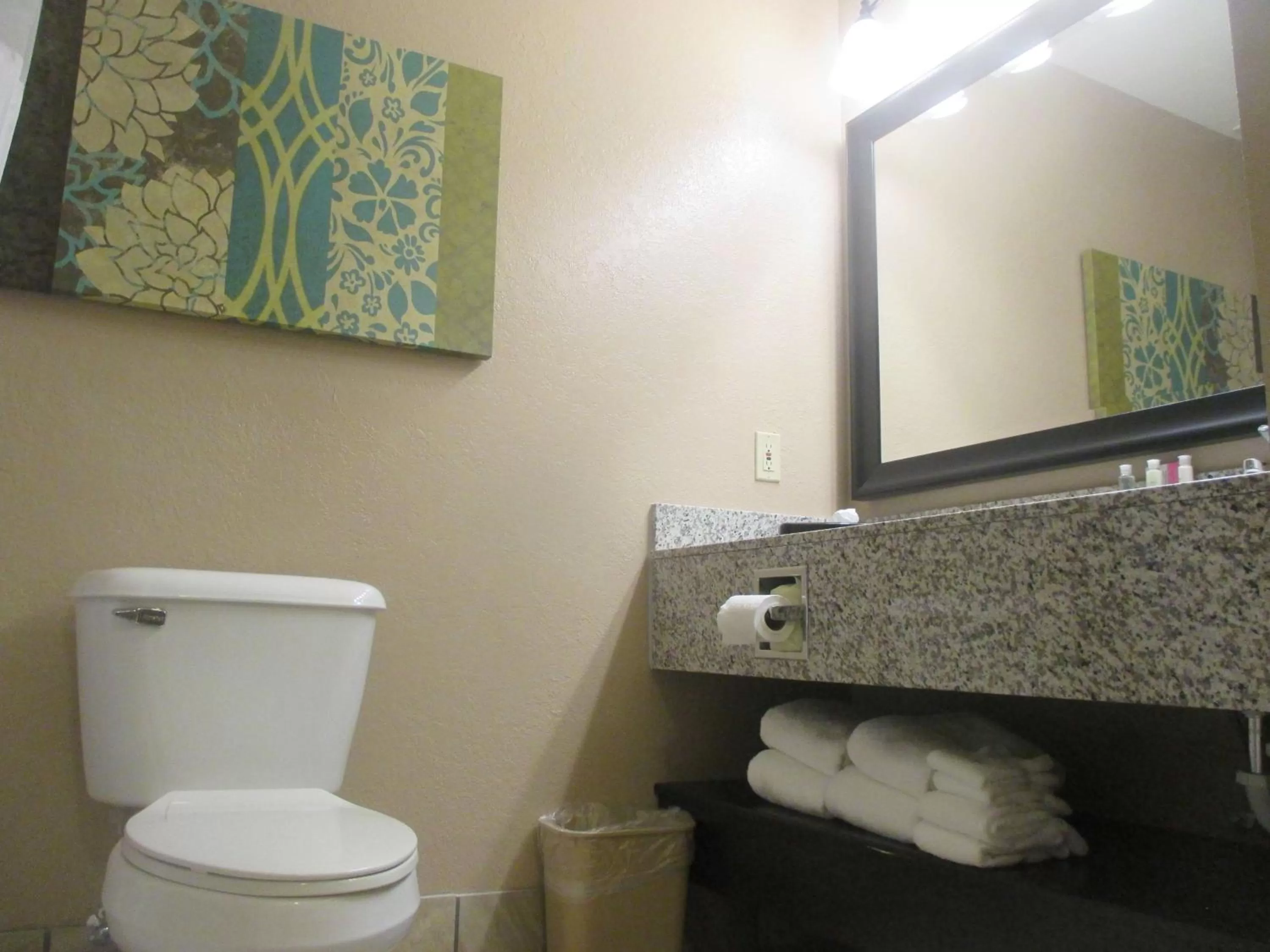 Bathroom in BEST WESTERN Plus Menomonie Inn & Suites