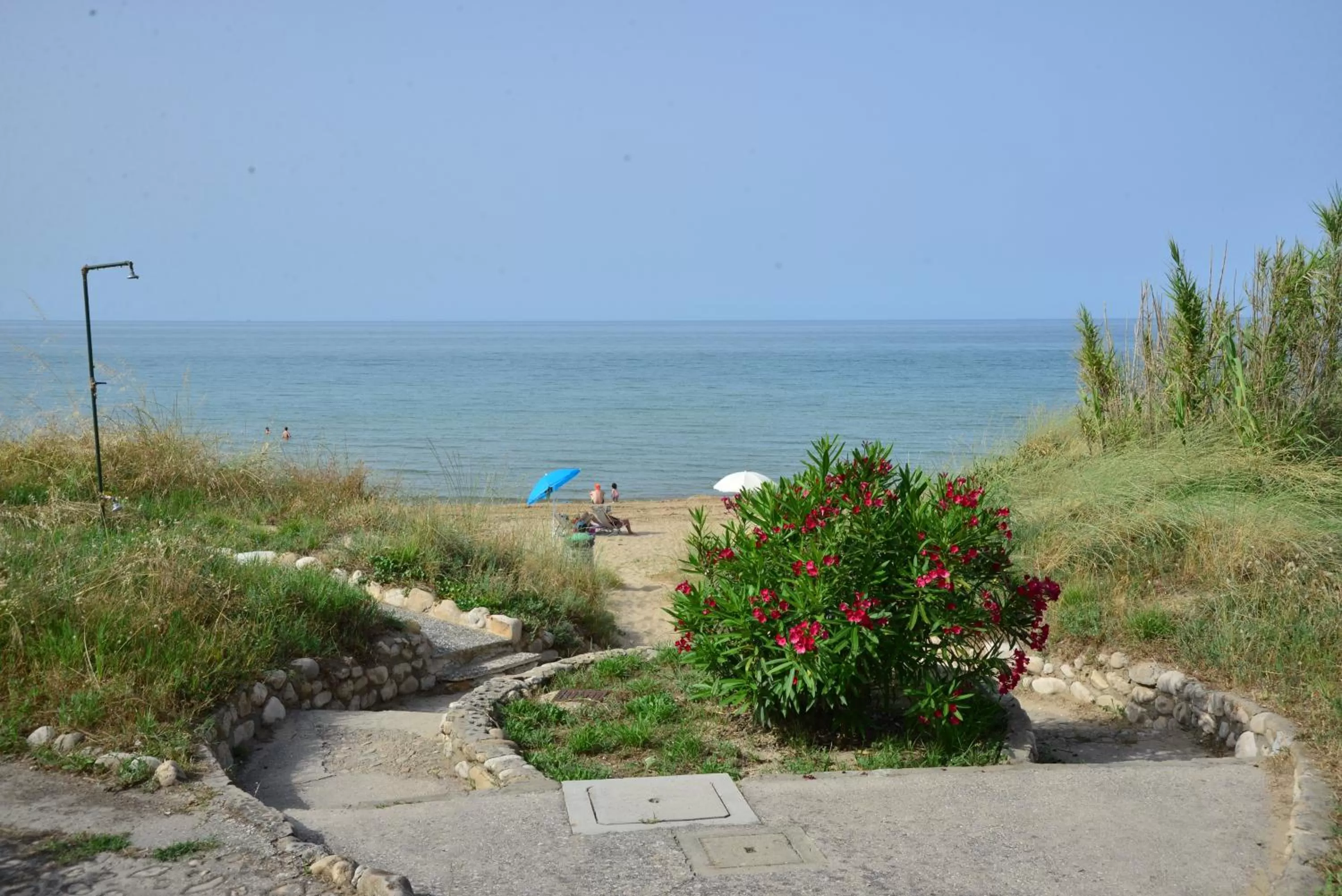 Day in Residence Airone