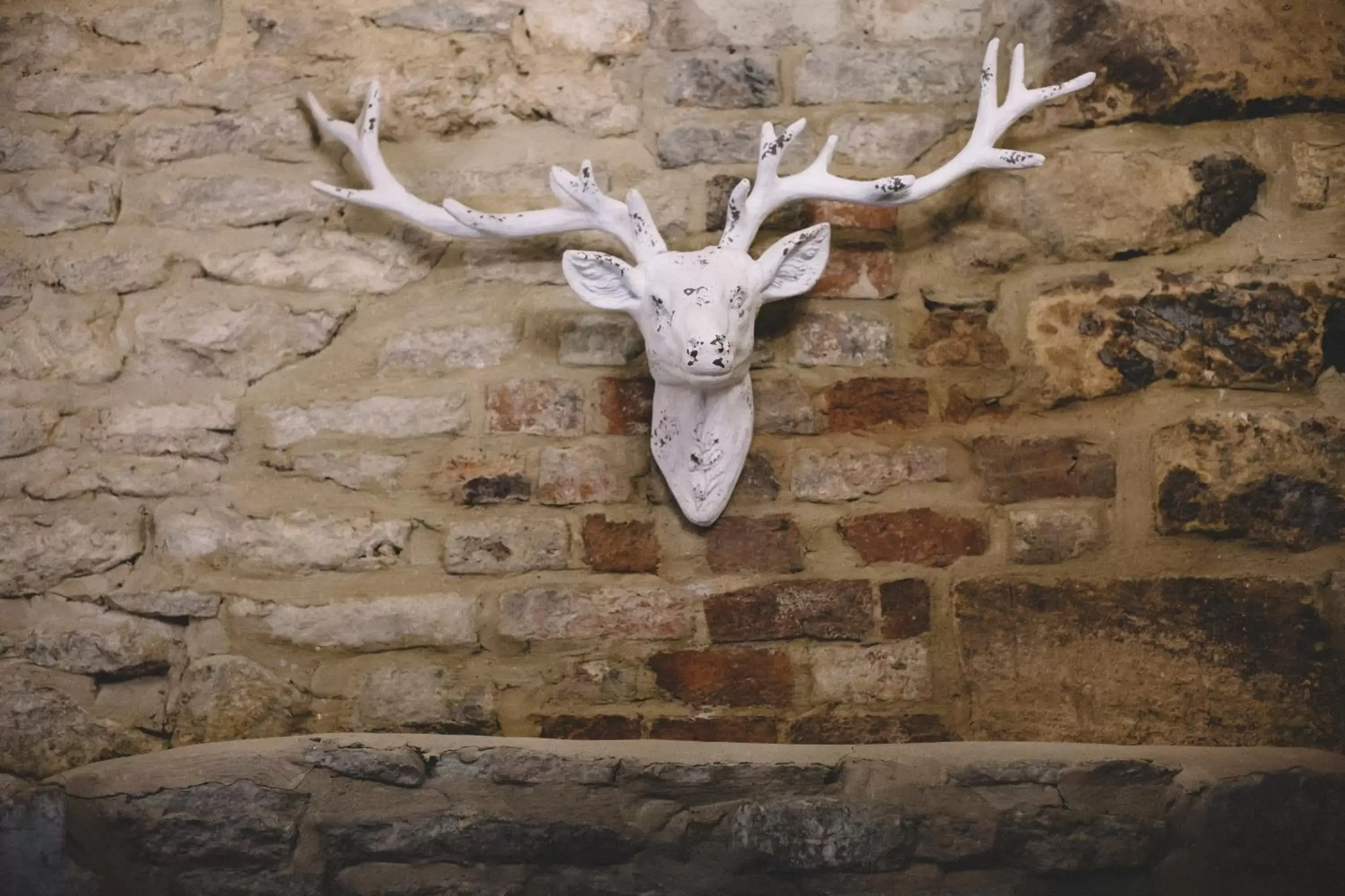 Decorative detail, Other Animals in The Stag at Stow