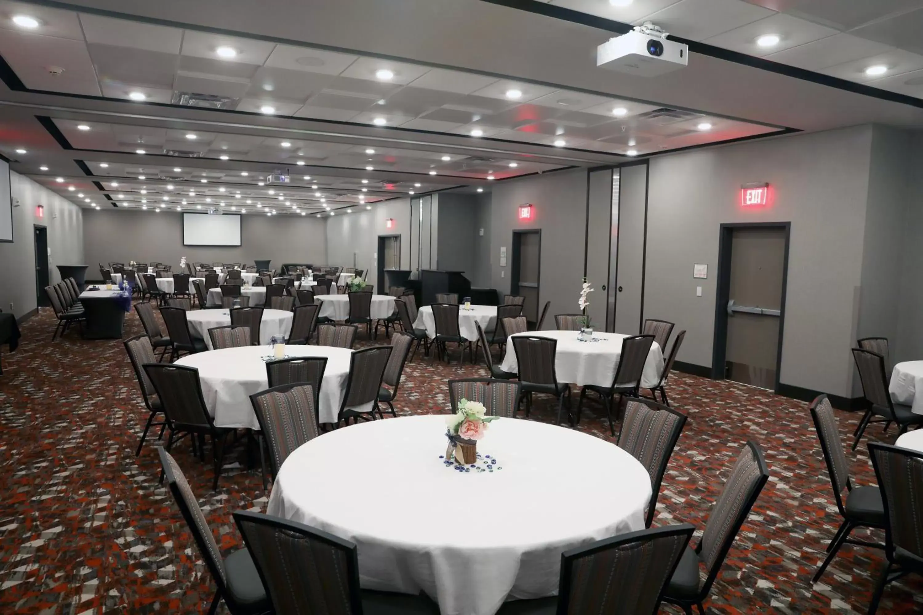 Banquet/Function facilities in Holiday Inn Hotel & Suites Sioux Falls - Airport, an IHG Hotel