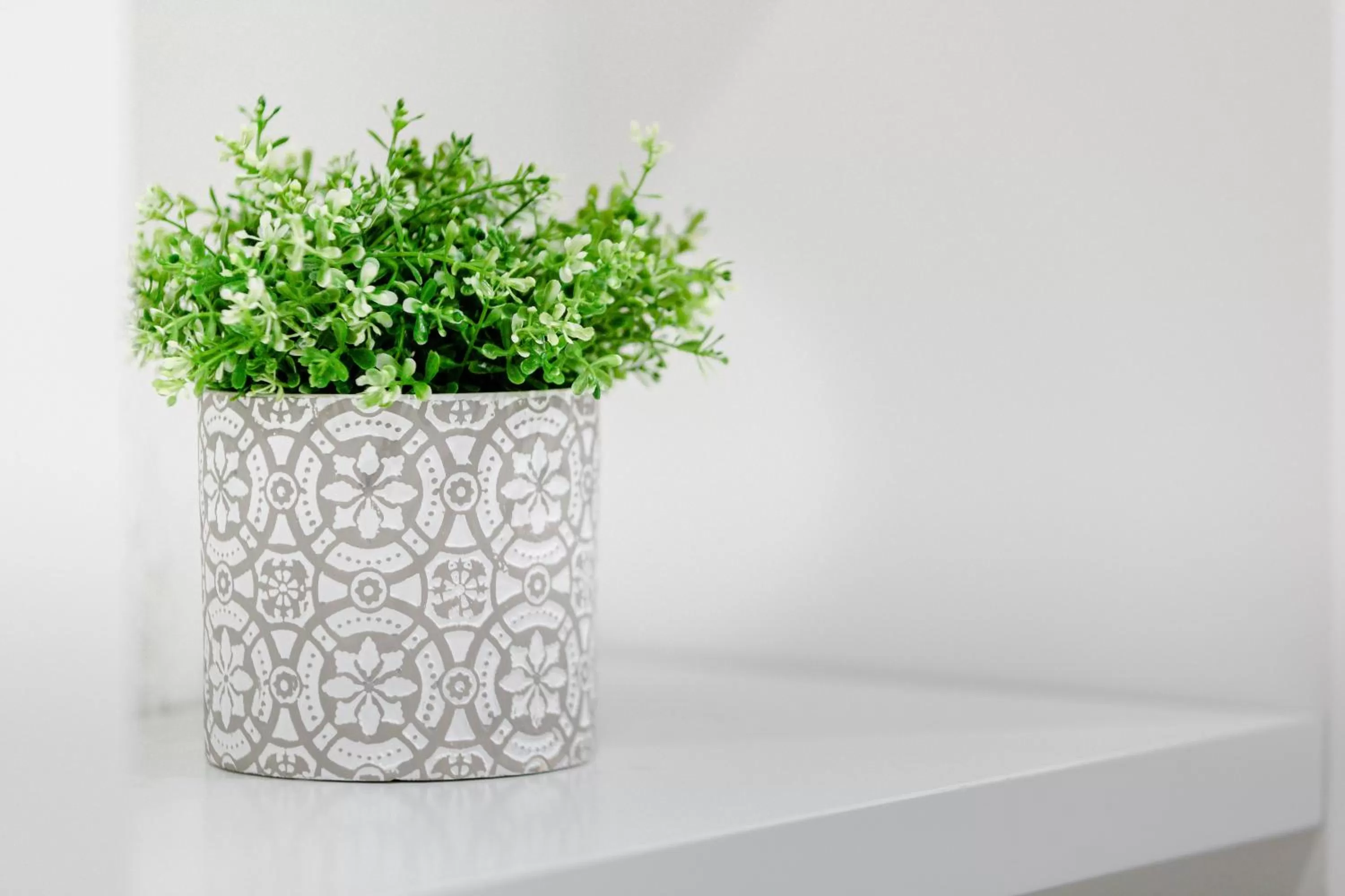 Decorative detail in Suite Palermo Apartment