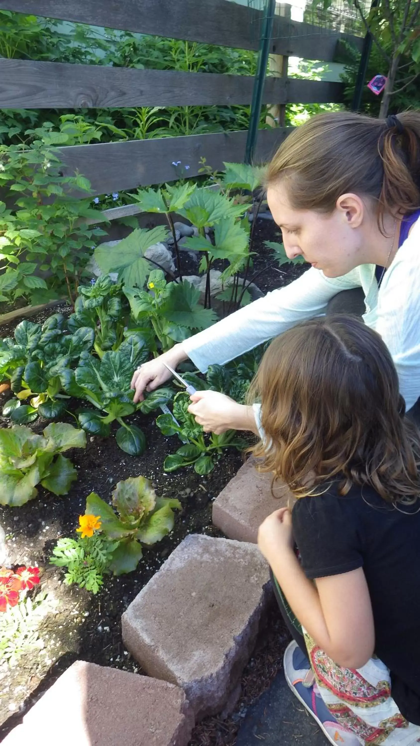 People, Children in Gardenside Bed and Breakfast