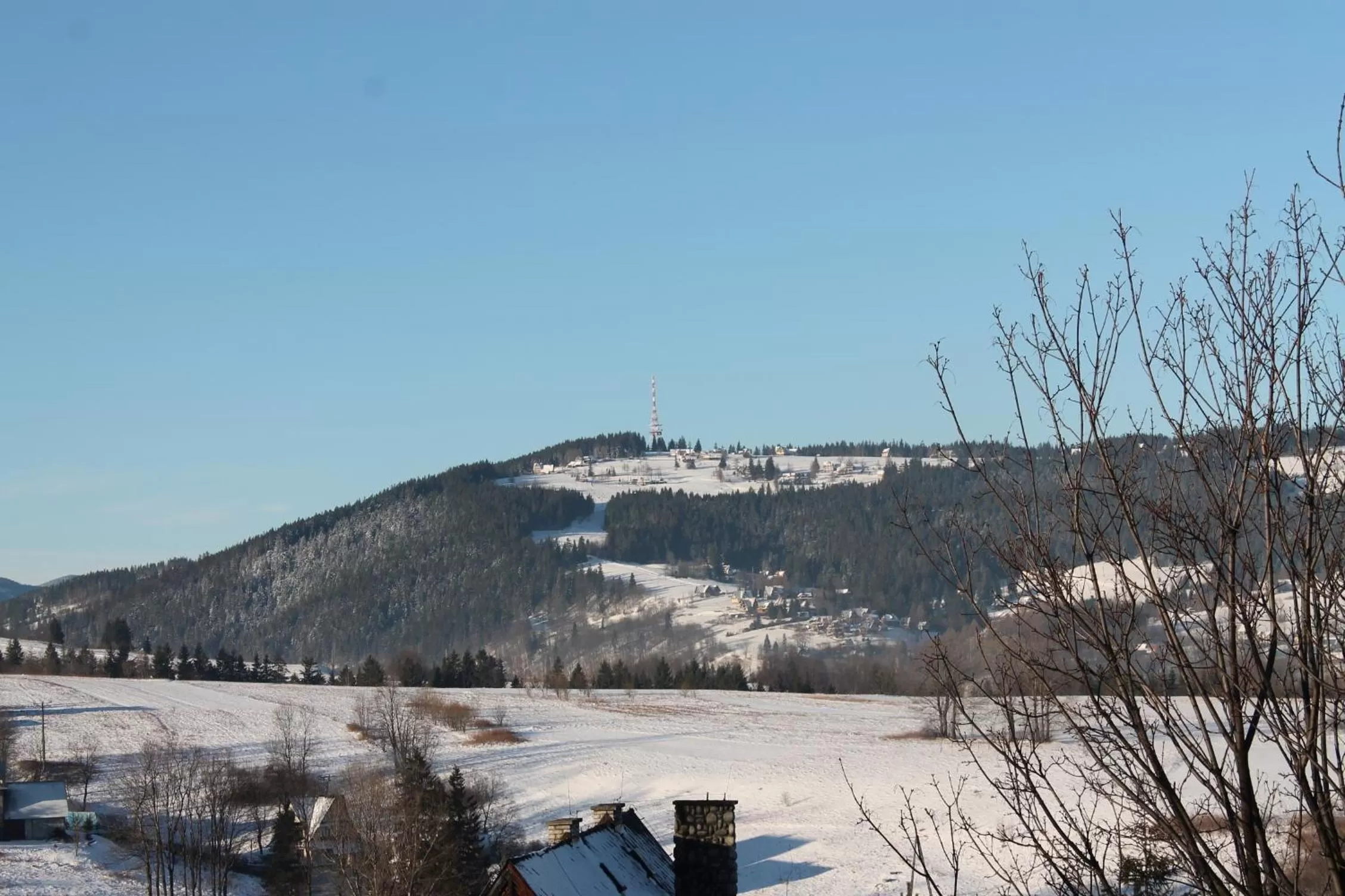 Natural landscape in Willa Grzesiczek
