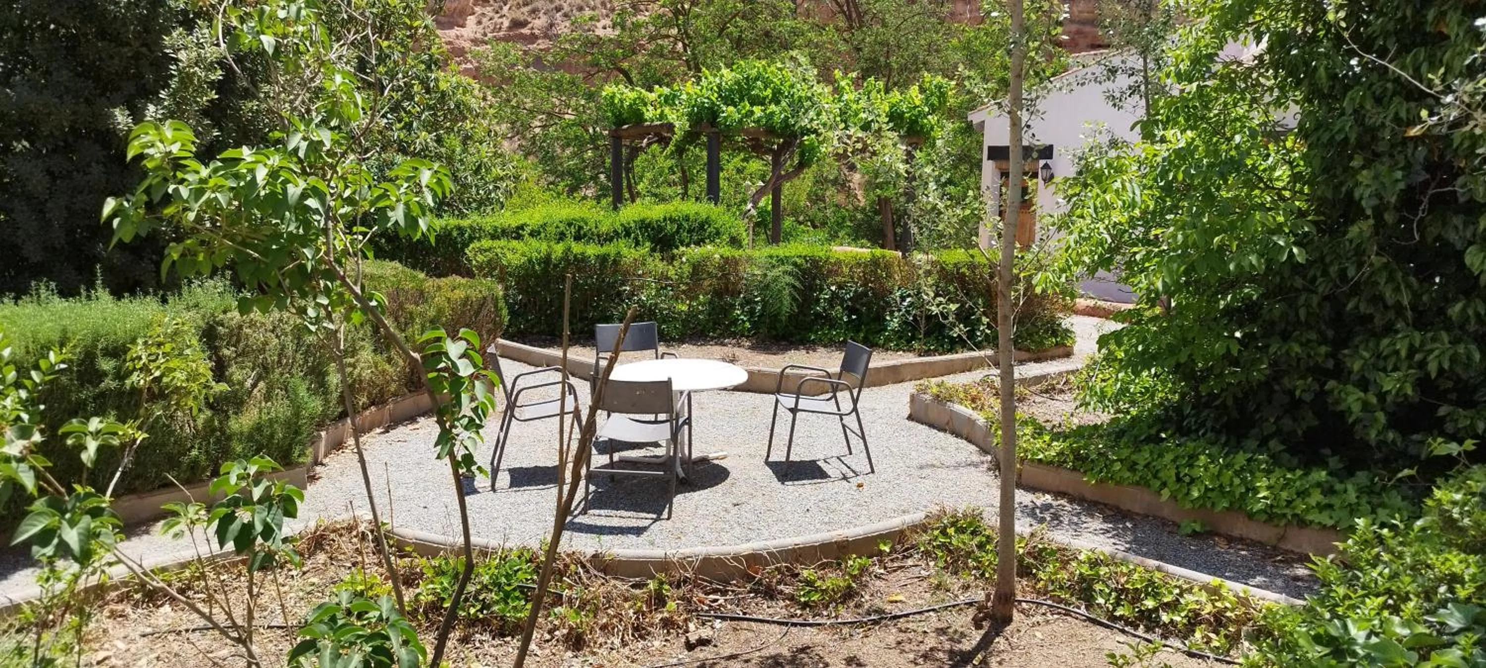 Garden in Casas Cueva y Cortijo La Tala en Guadix