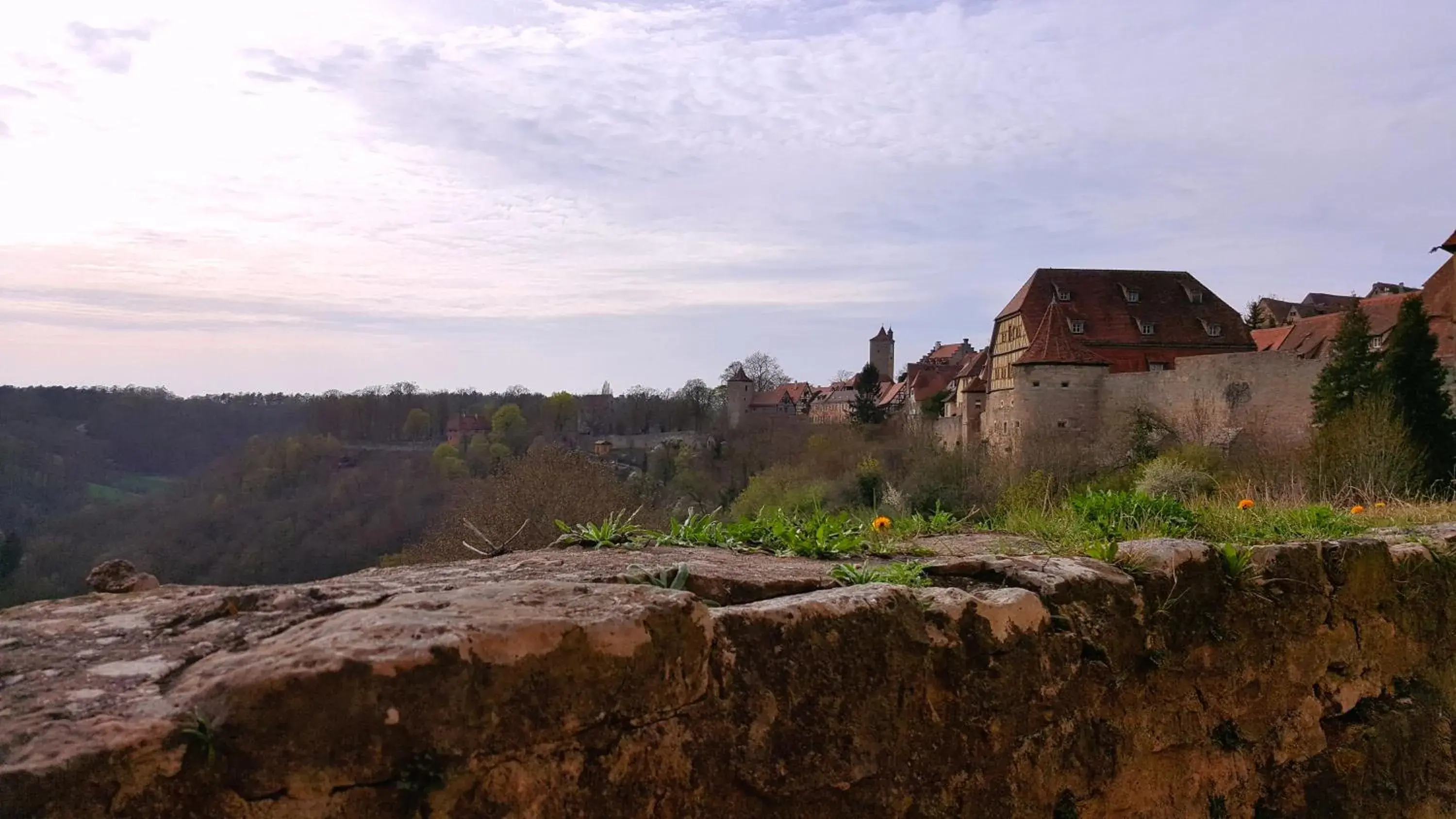 Natural landscape in Boutiquehotel Goldene Rose