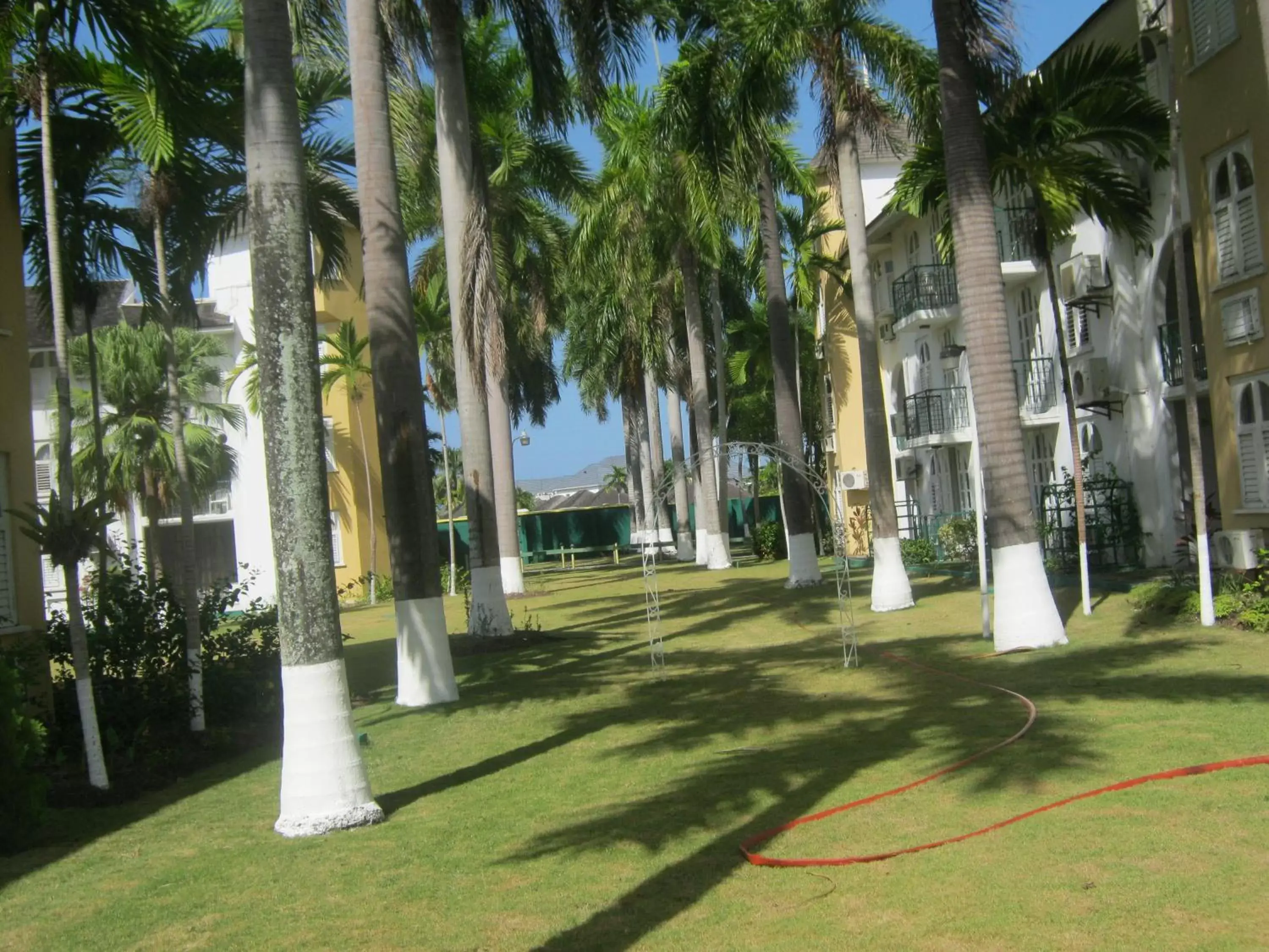 Day, Garden in Ocho Rios Vacation Resort Property Rentals