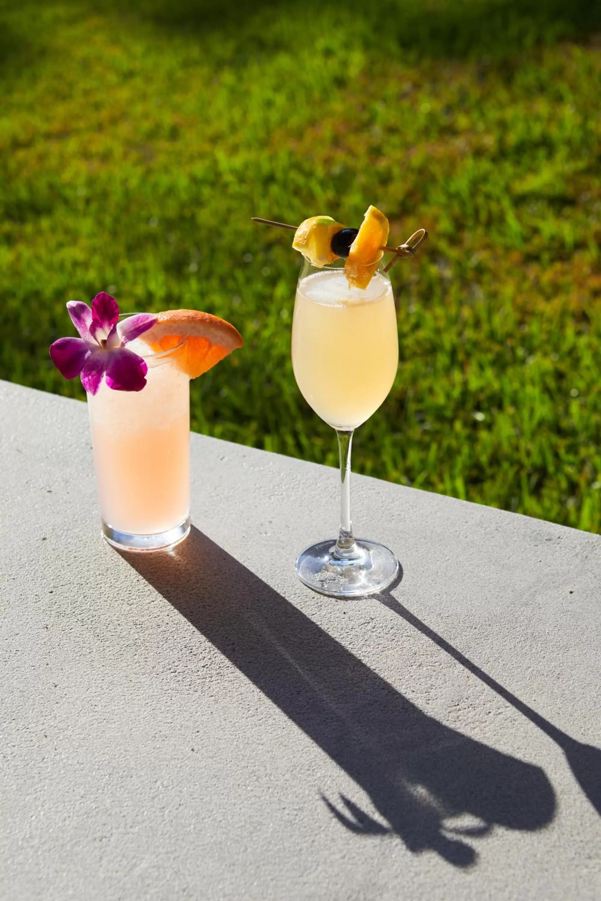 Drinks in Shady Villa Hotel