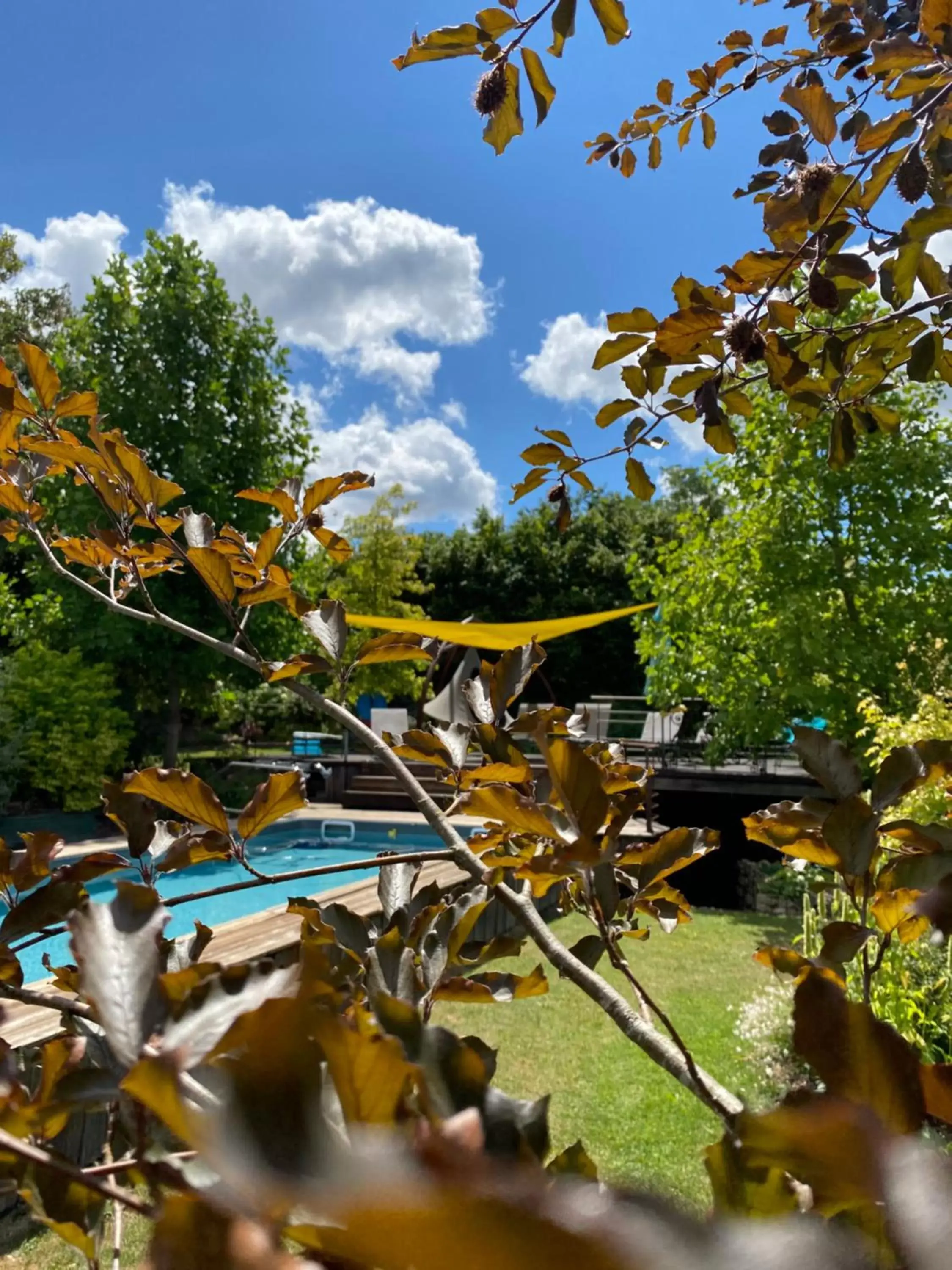 Garden in L'Ecole des Garçons