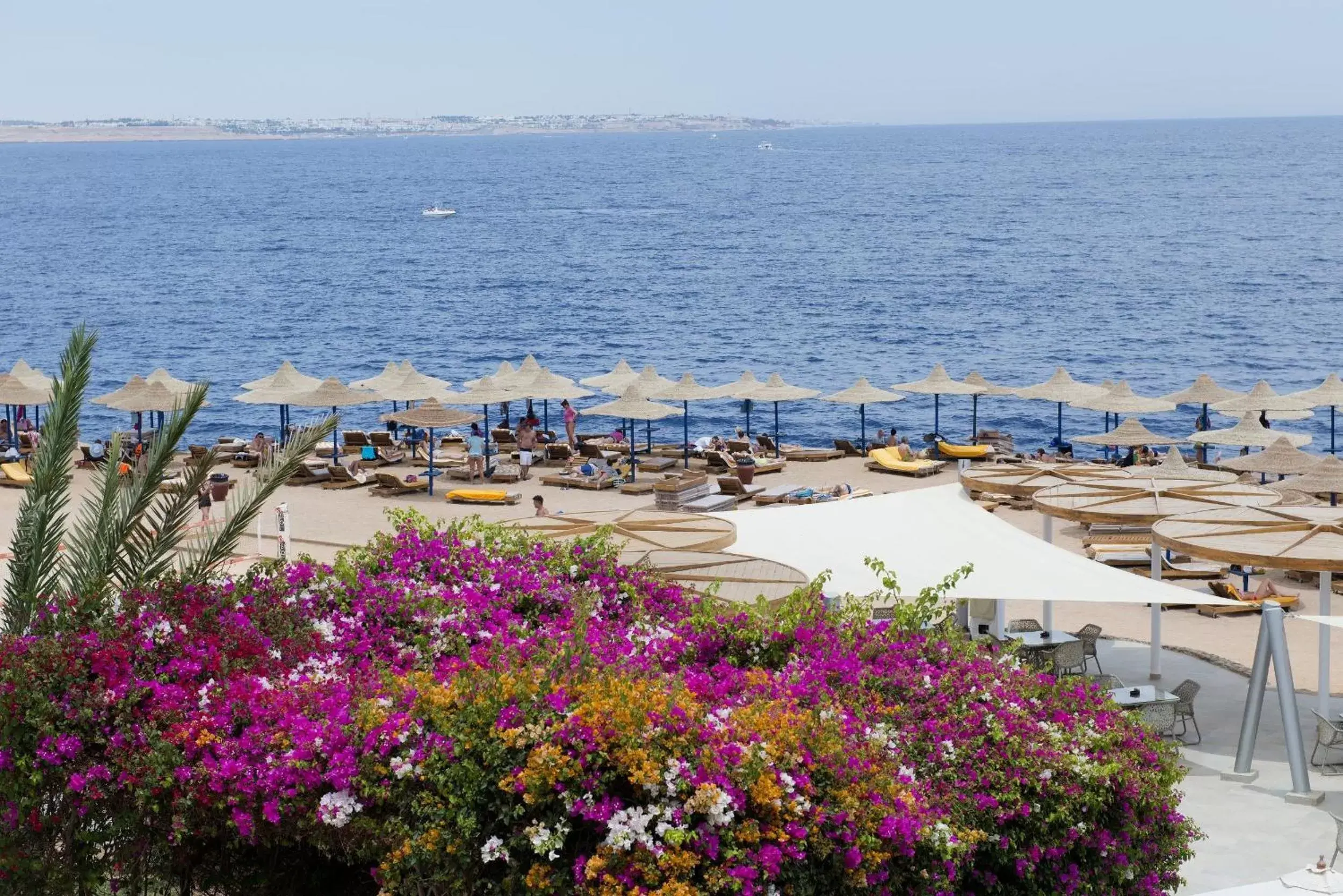 Beach in Amphoras Blu