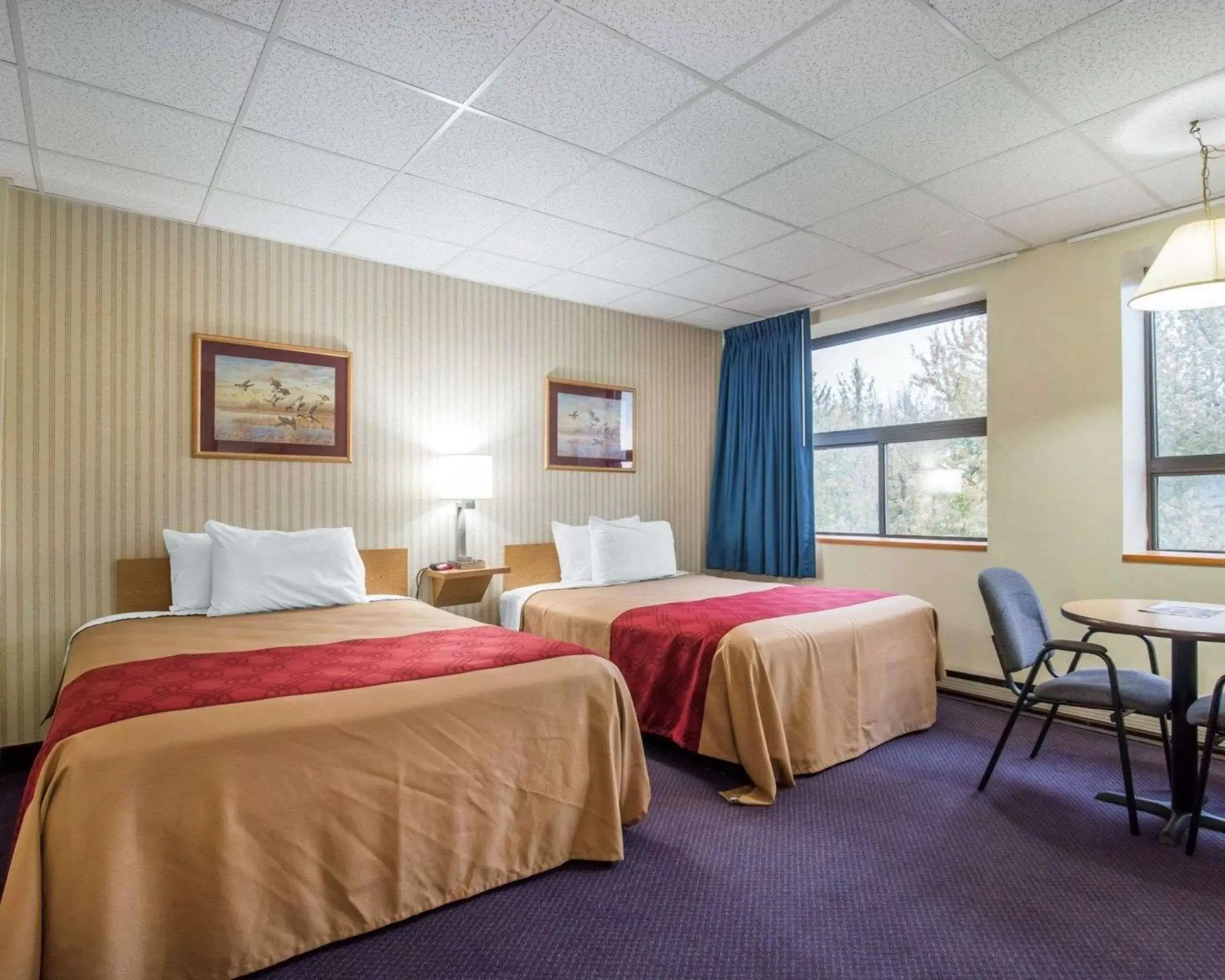 Photo of the whole room, Bed in Econo Lodge Manchester