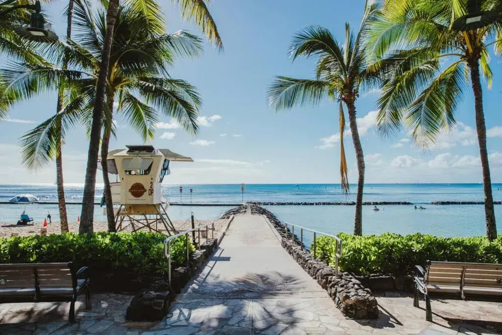 Beach in Waikiki Shore by Outrigger