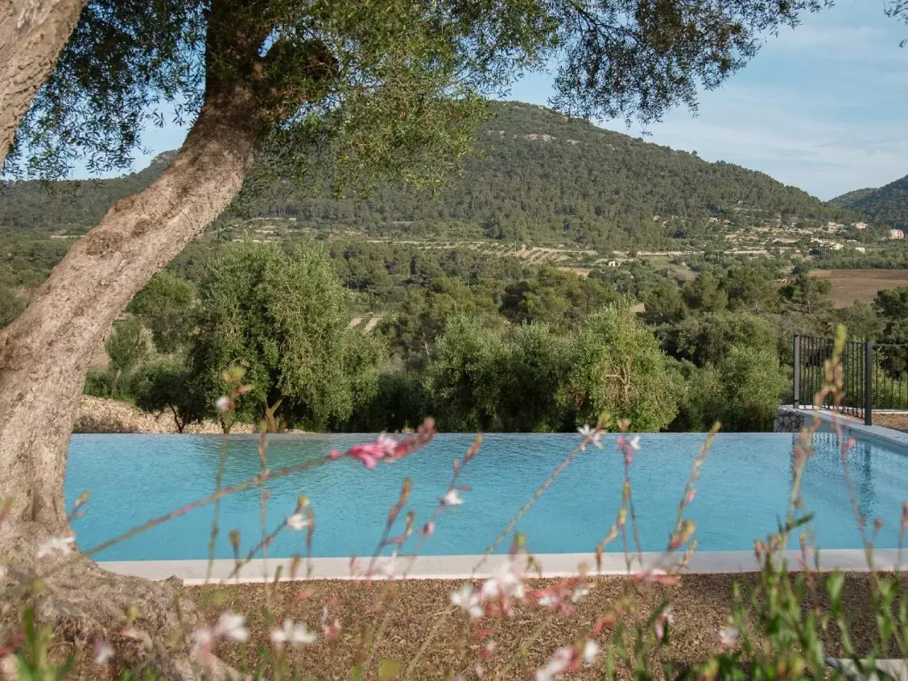 Spring, Pool View in Finca Treurer - Olive Grove & Grand House - Adults Only