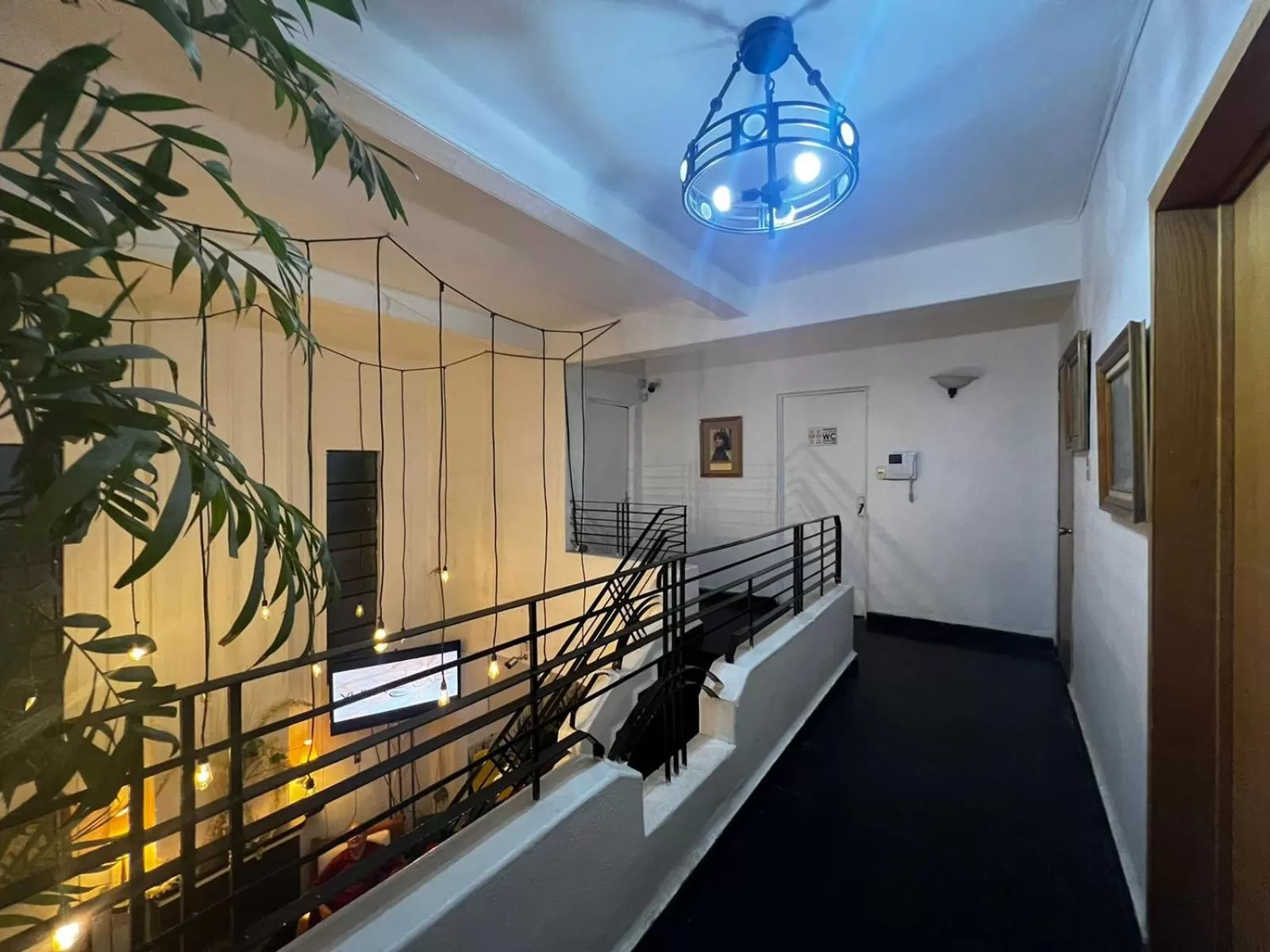 Area and facilities in Hostal Roma Condesa