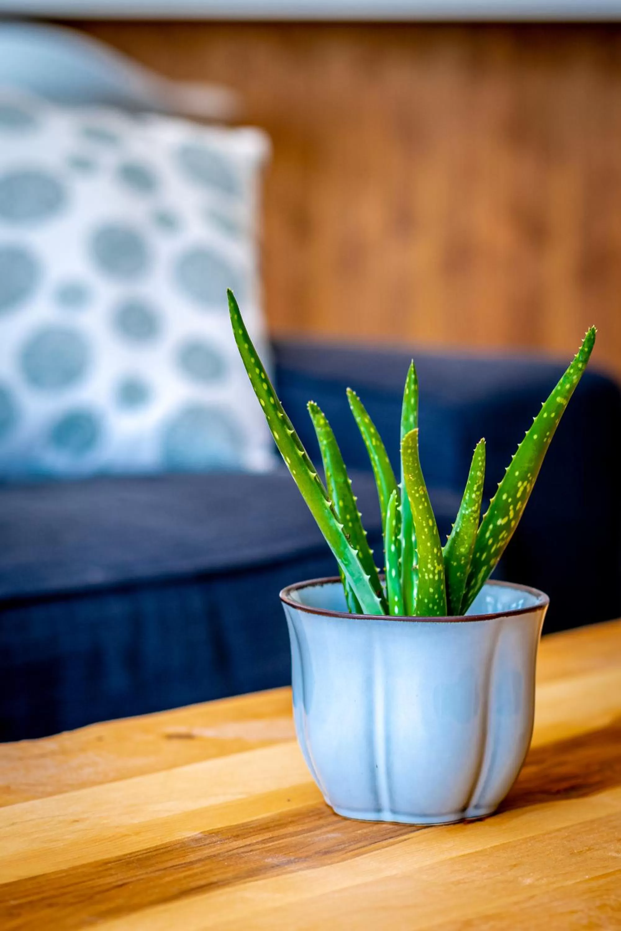 Hôtel Val-David - Appartements de la Gare