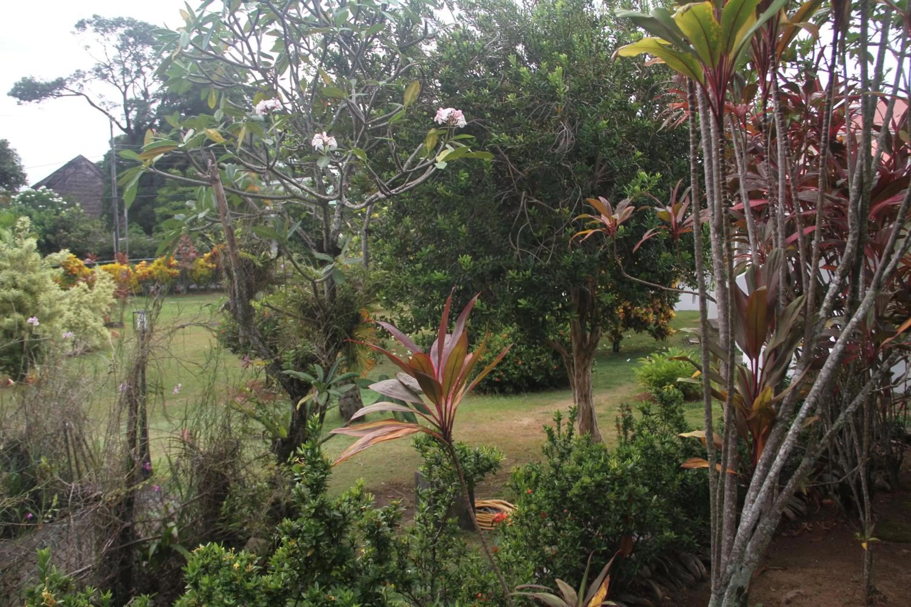 Garden in Daniella's Bungalows