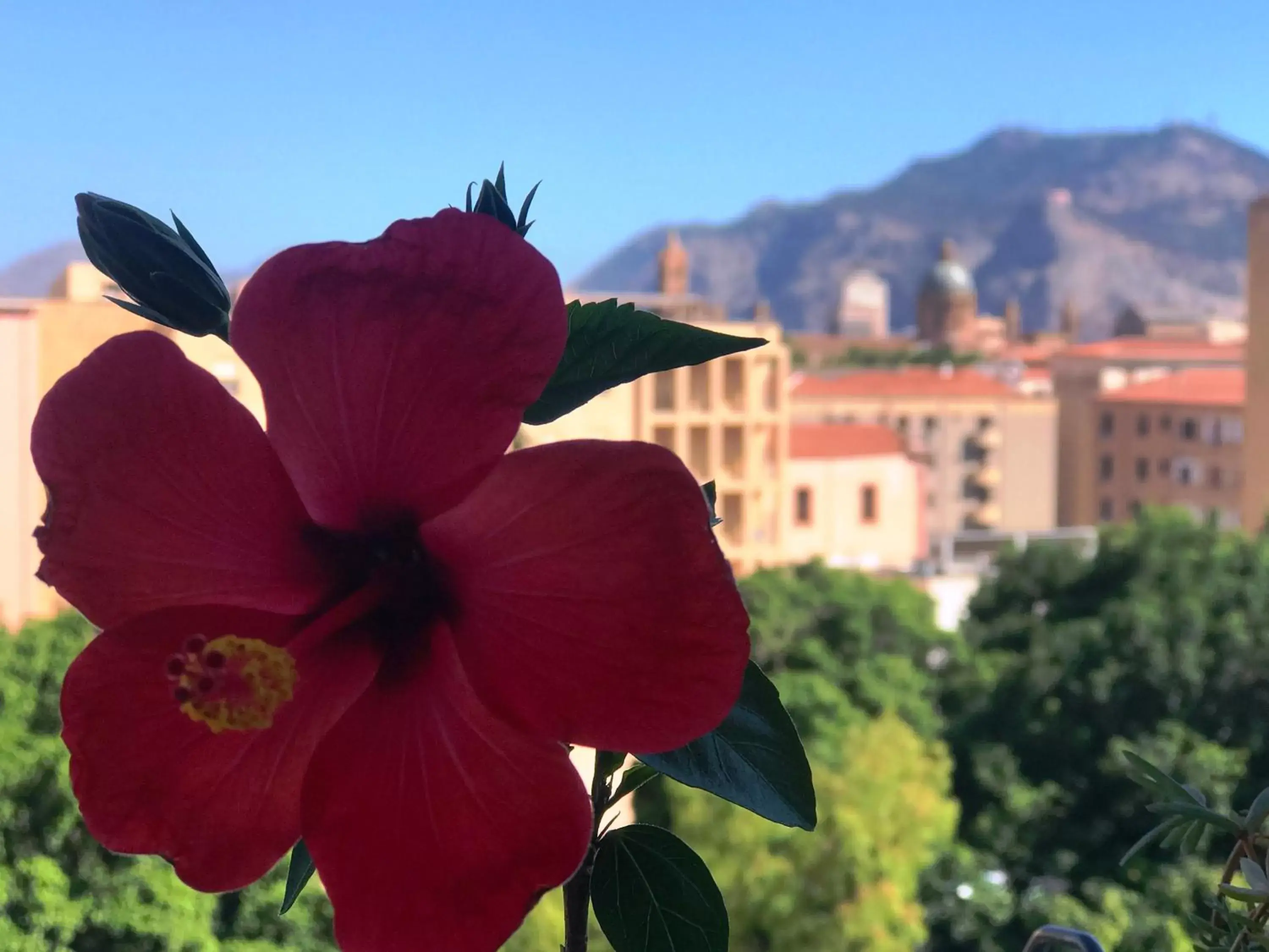 City view in LeAlbe di Sicilia