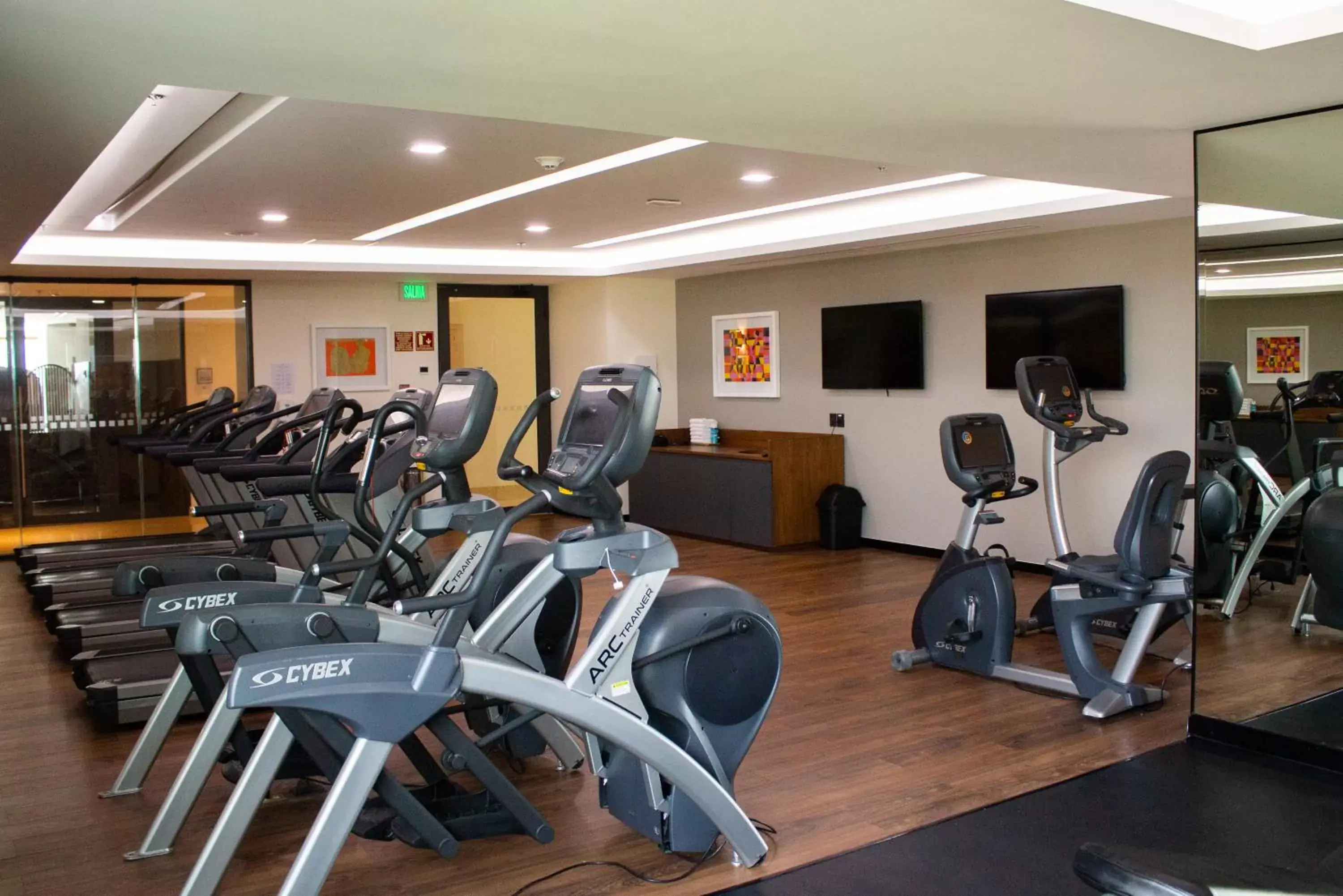 Fitness centre/facilities, Fitness Center/Facilities in Holiday Inn & Suites - Puerto Vallarta Marina & Golf, an IHG Hotel