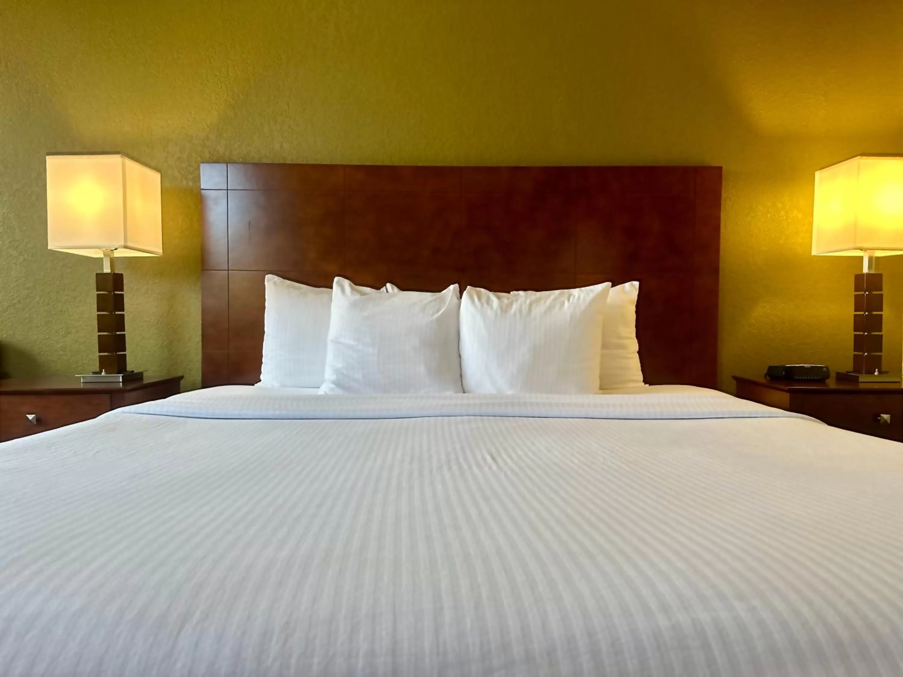King Room with Bath Tub - Mobility Accessible/Non-Smoking in Best Western Executive Inn Kenosha - Pleasant Prairie