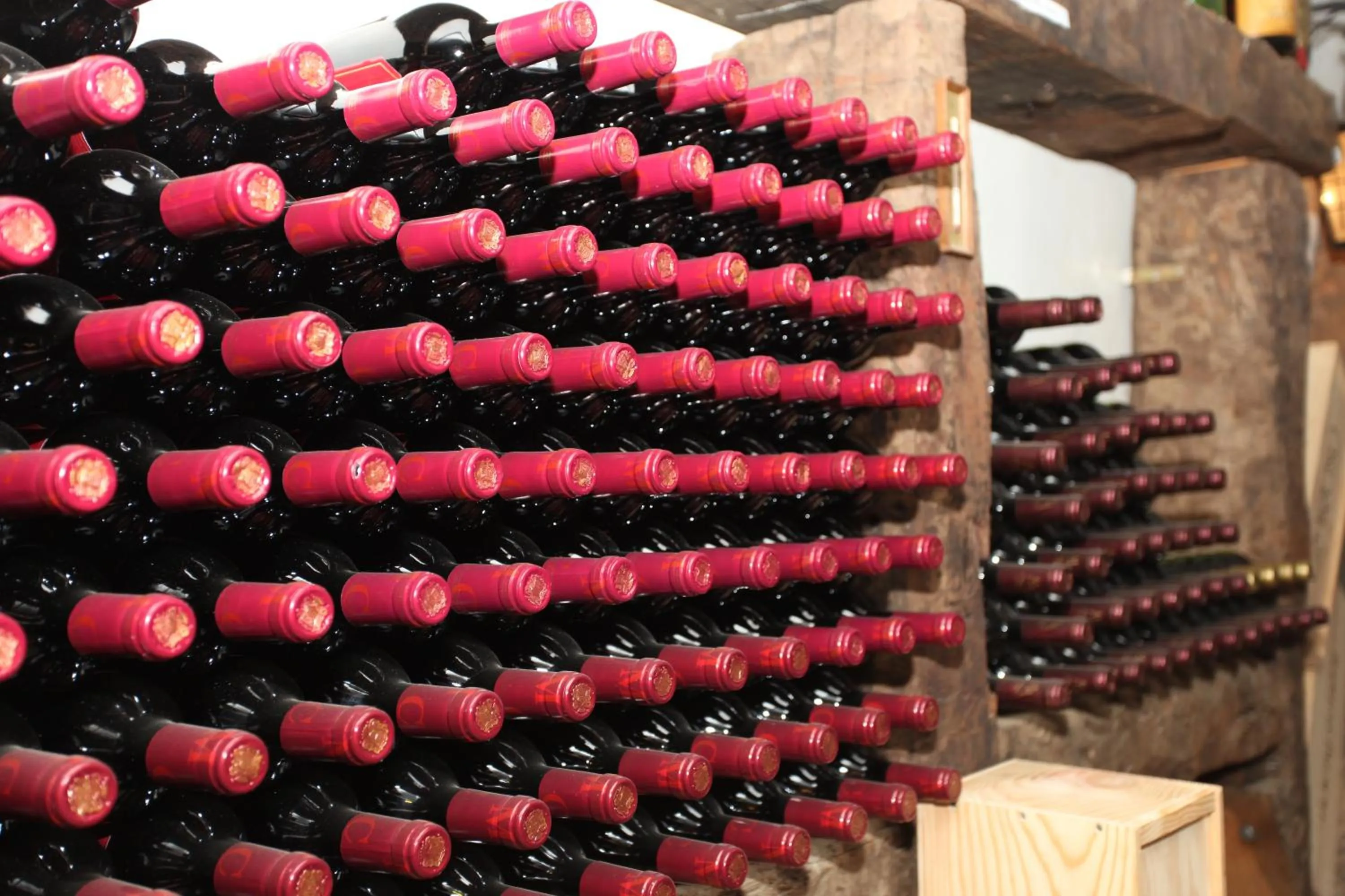 Other in Hotel La Bodega