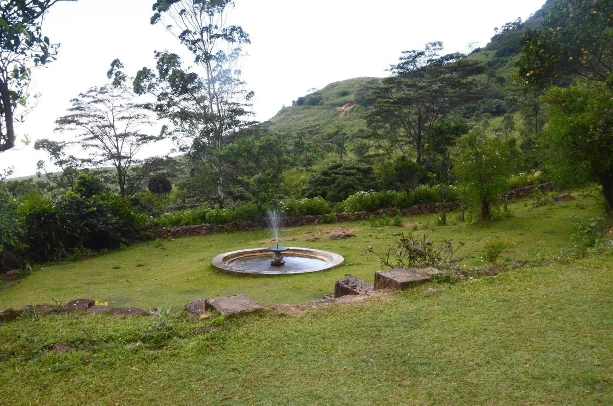 Garden in Sir John's Bungalow