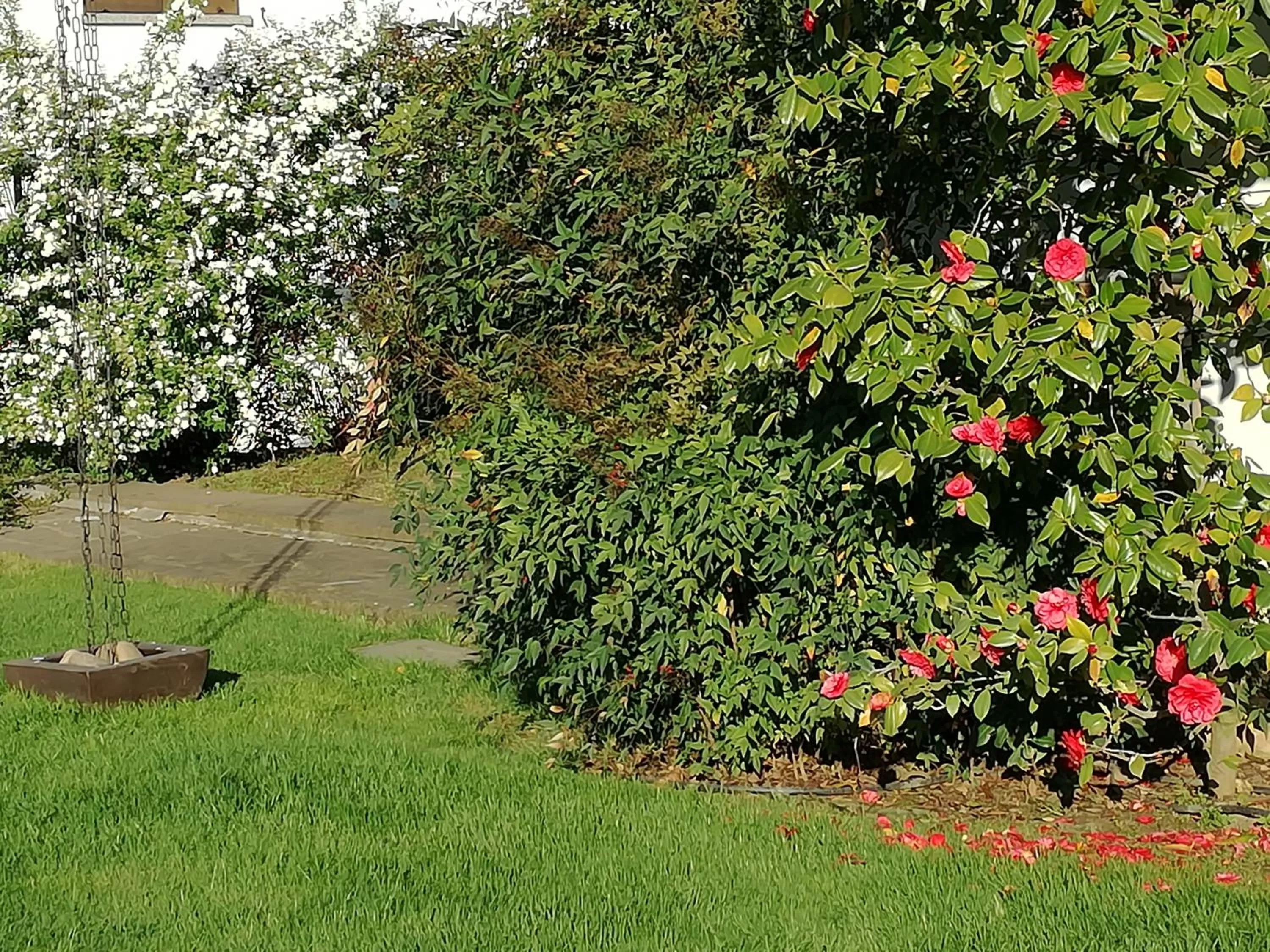 Garden in 3 Tesori B&B