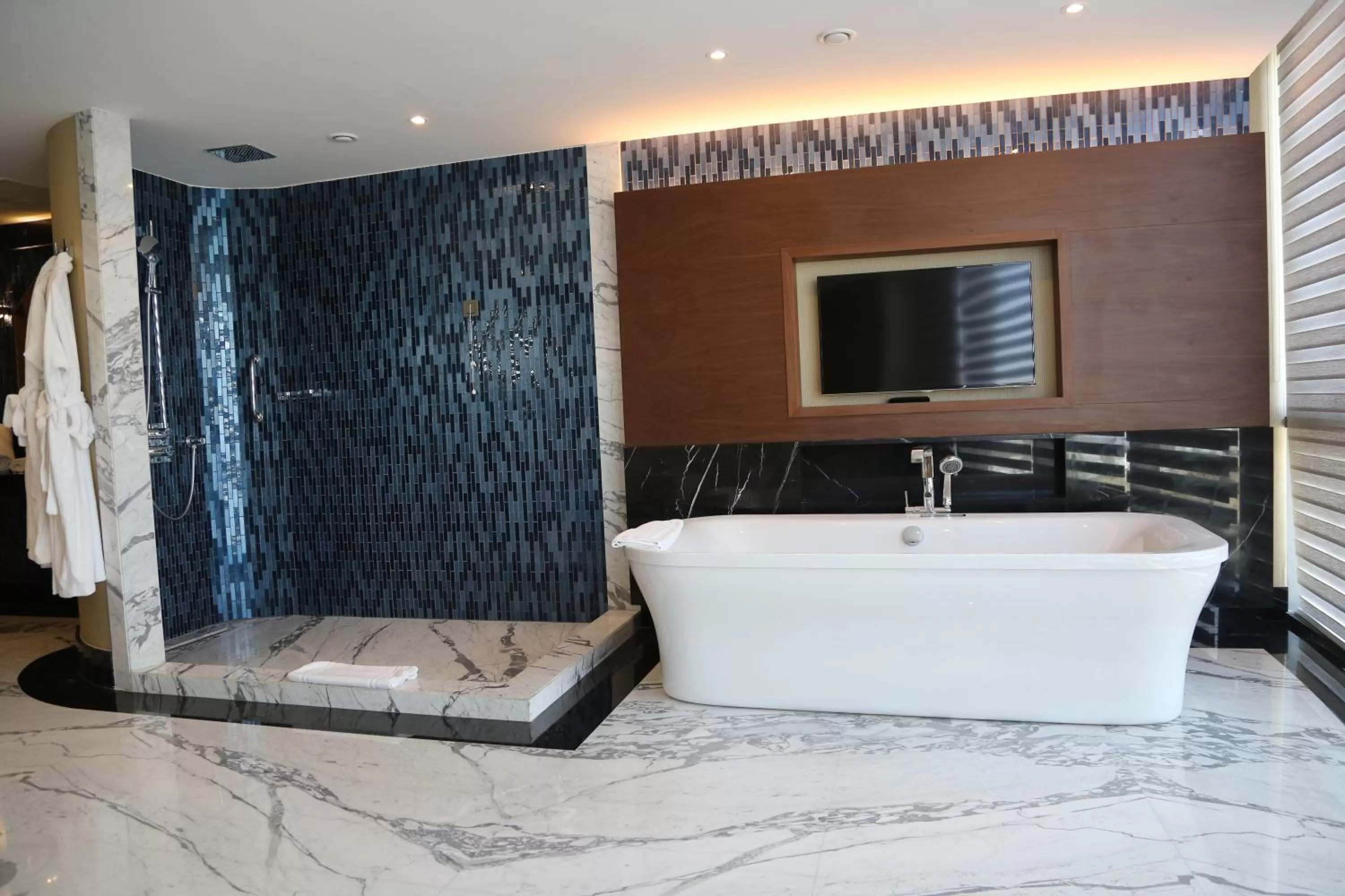 Shower in Pullman Istanbul Hotel & Convention Center