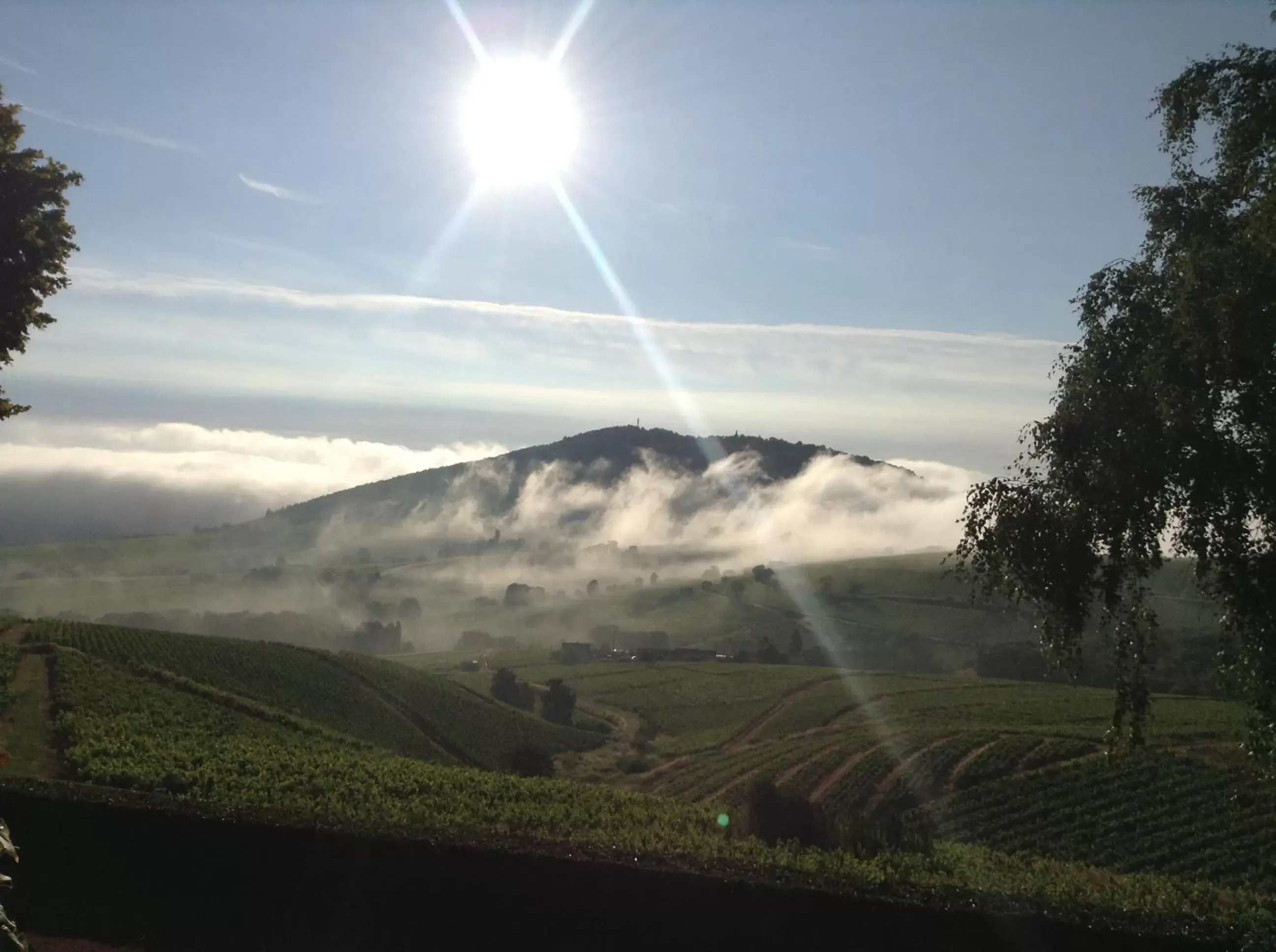 View (from property/room) in La Croix de Saburin