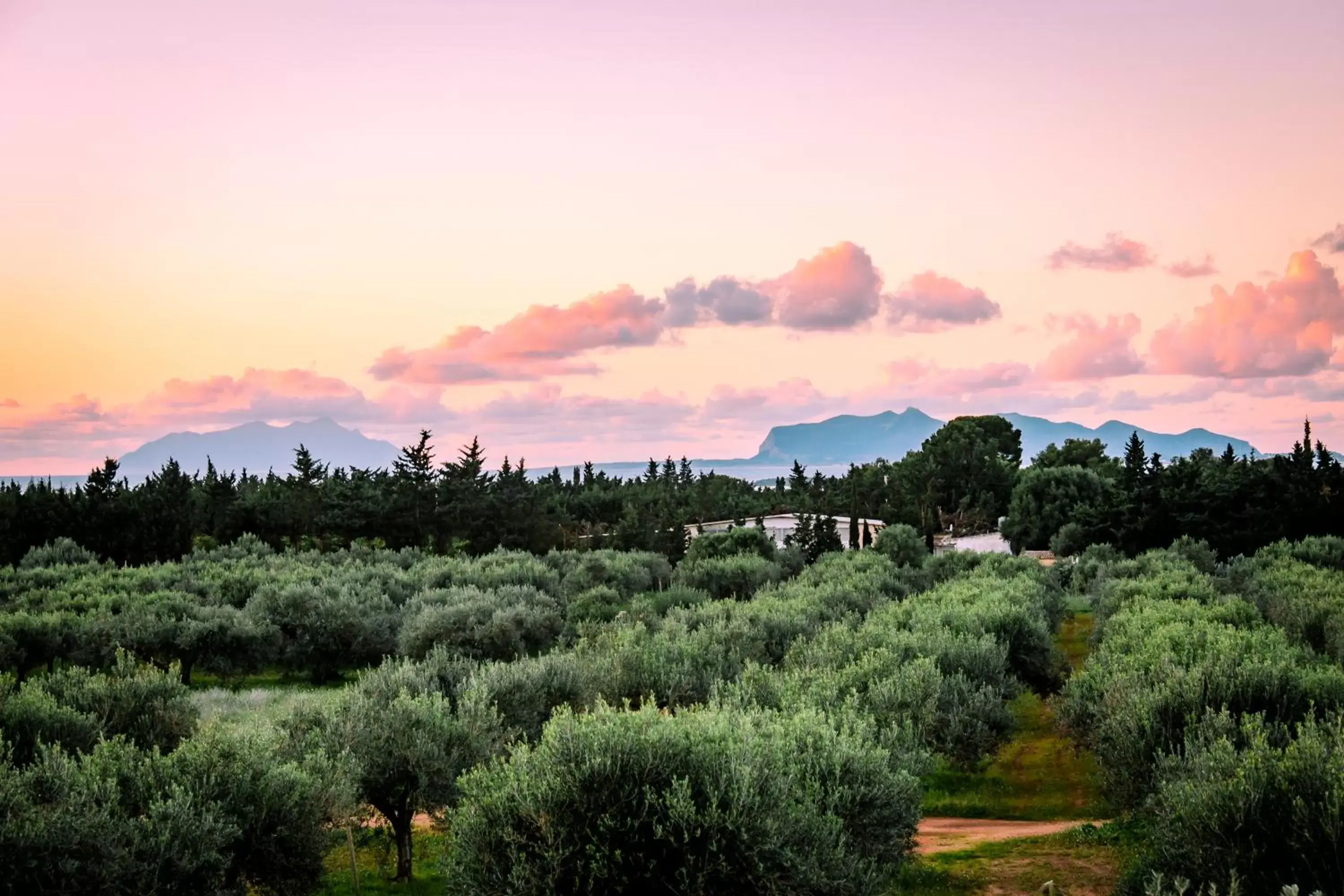 Spring in Baglio Custera