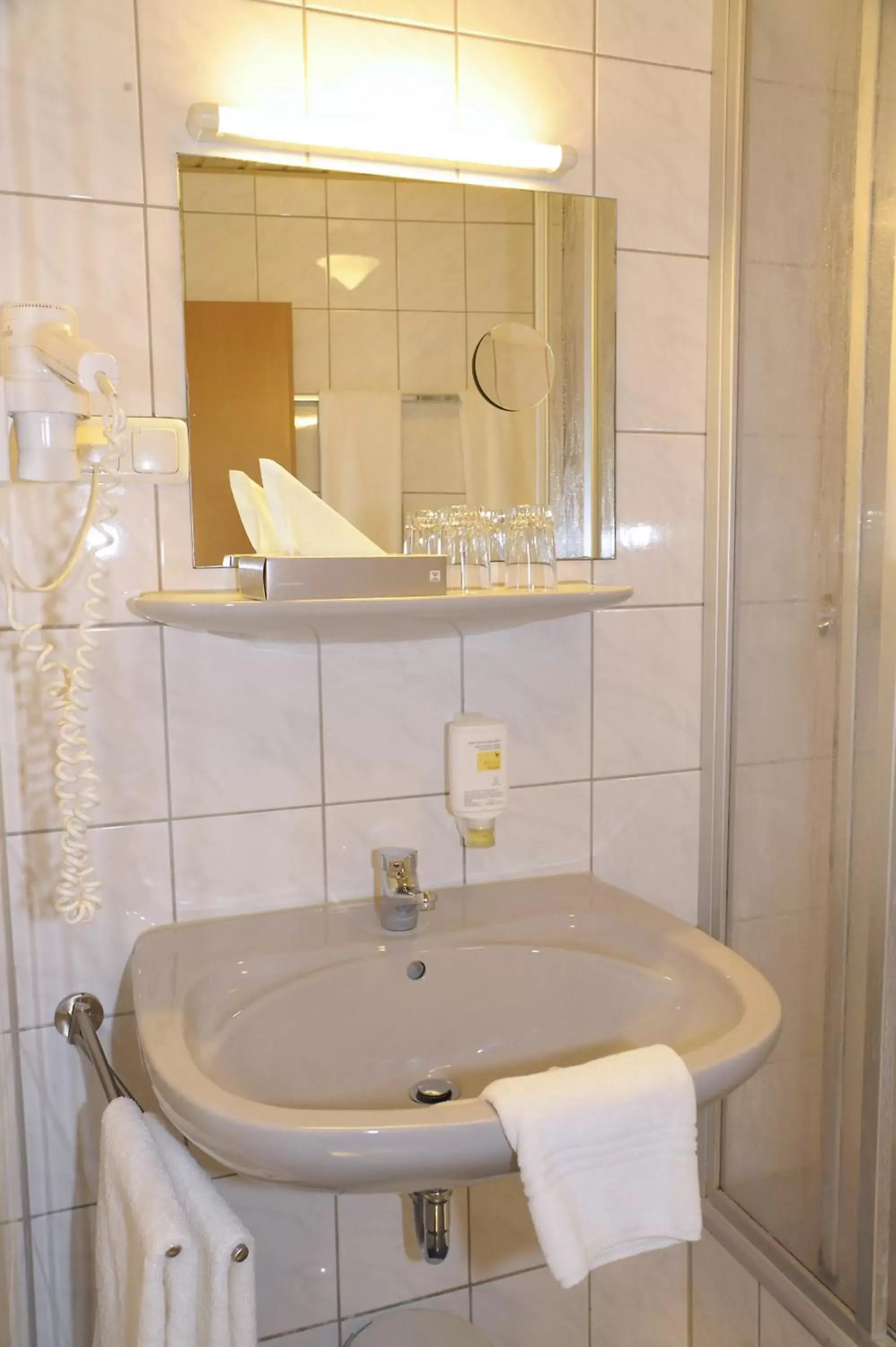 Decorative detail, Bathroom in Hotel Goldener Karpfen