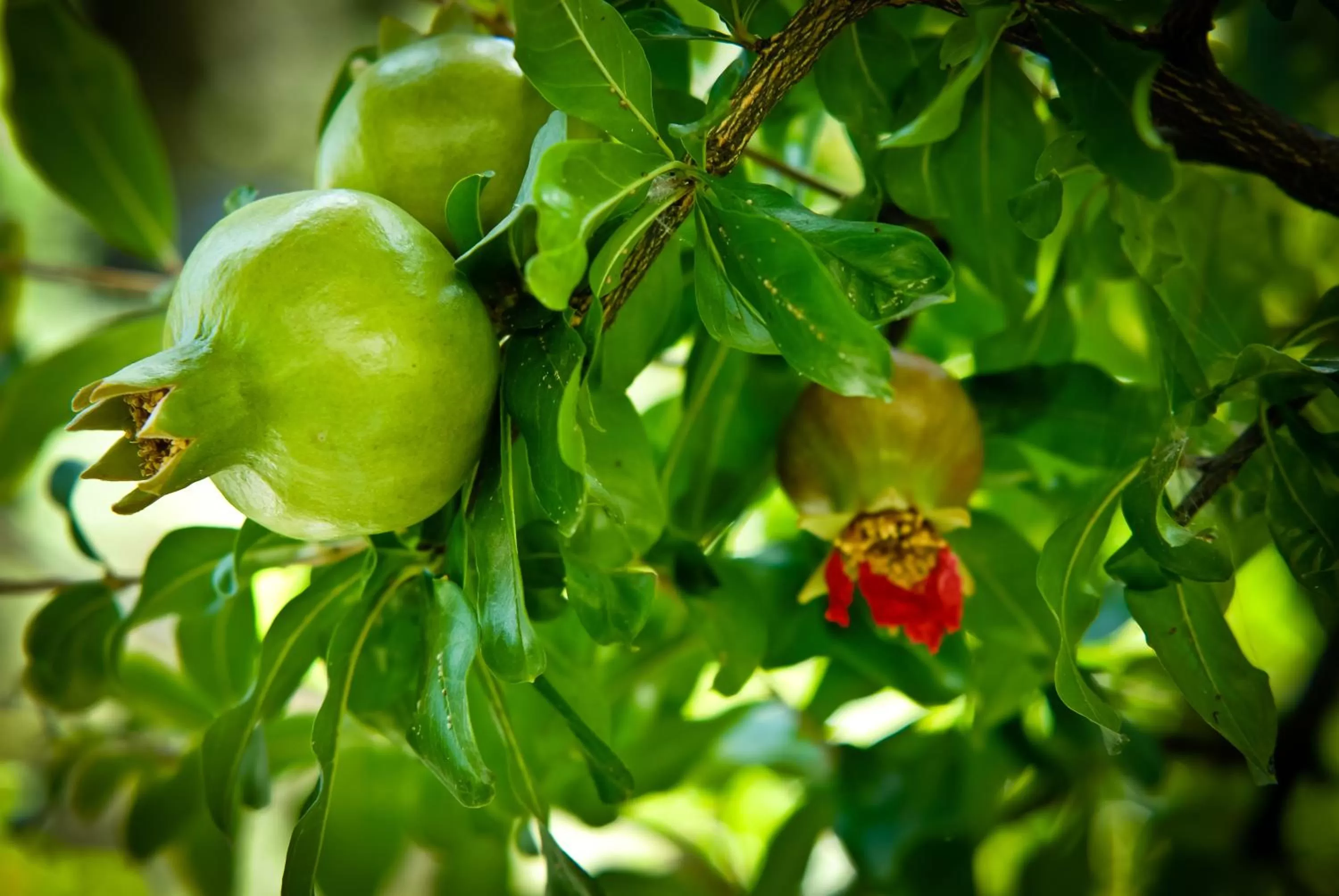 Decorative detail in Hospes Palacio de los Patos, a Member of Design Hotels