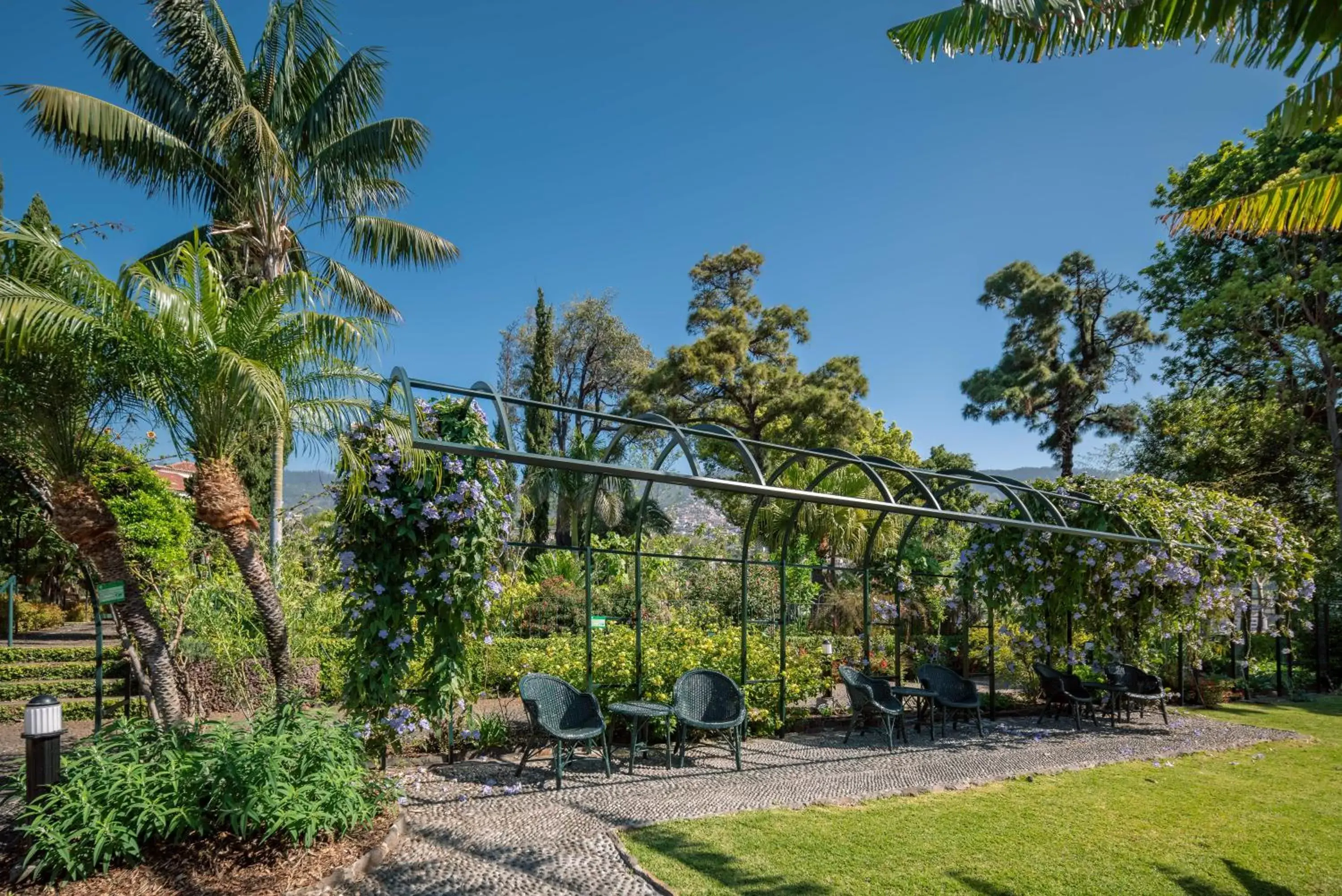 Natural landscape in Quinta Jardins do Lago