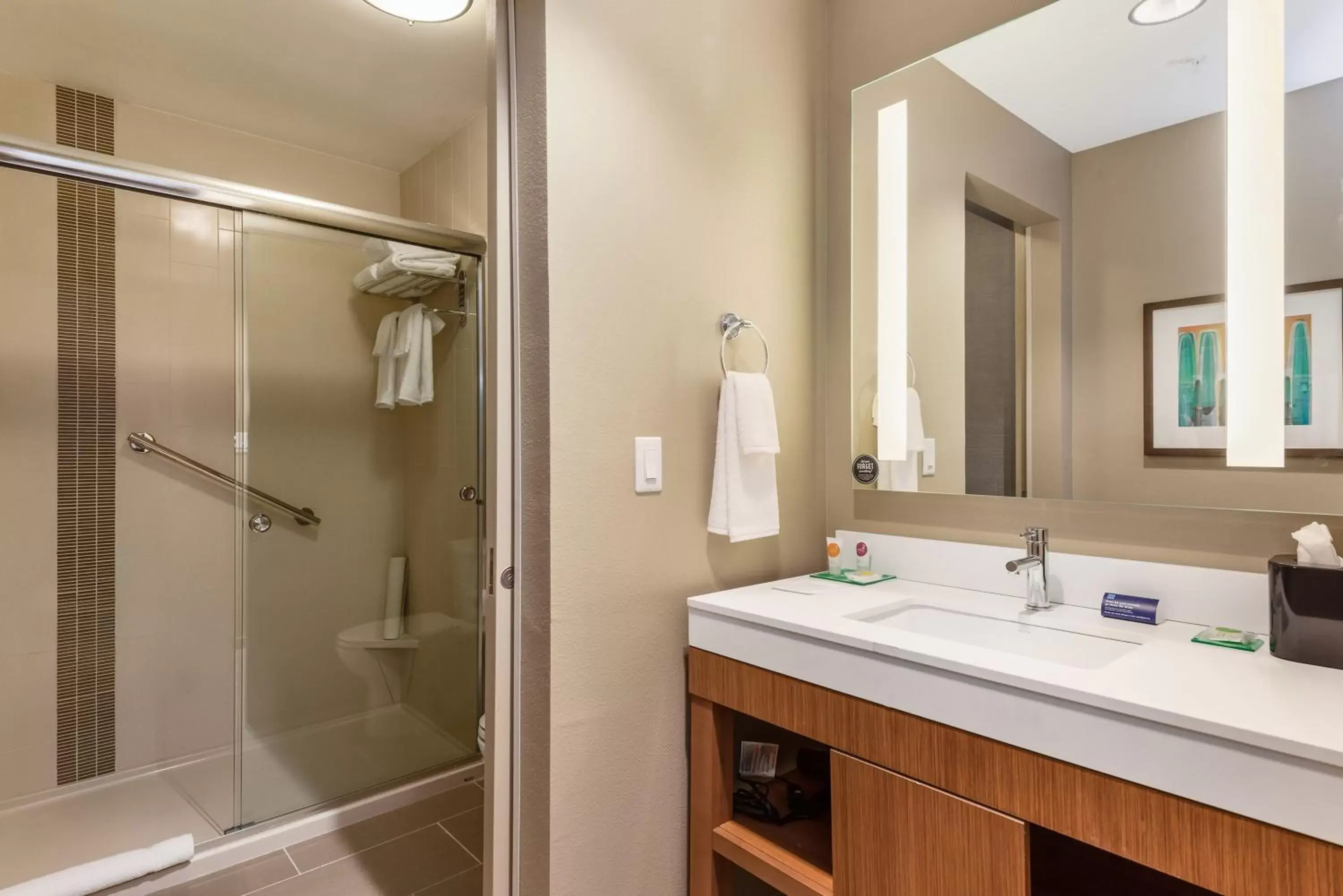 Bathroom in Hyatt Place Tampa/Wesley Chapel