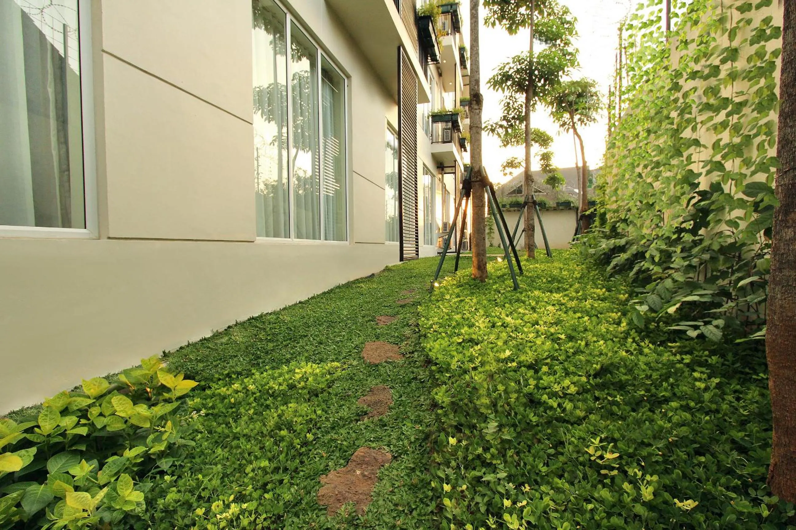 Garden in Dwijaya House of Pakubuwono