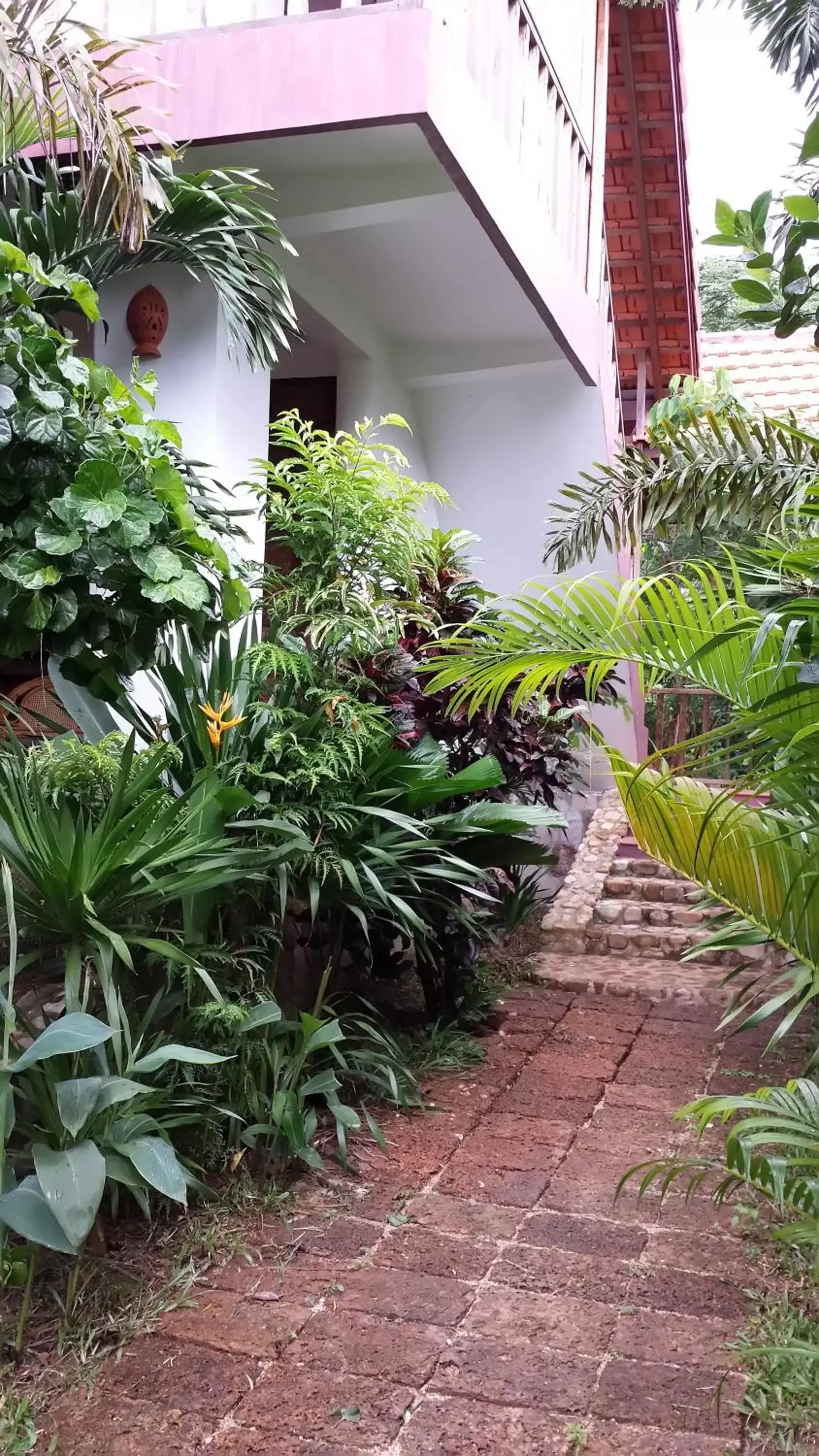 Garden, Property Building in TARA LODGE Haven of peace