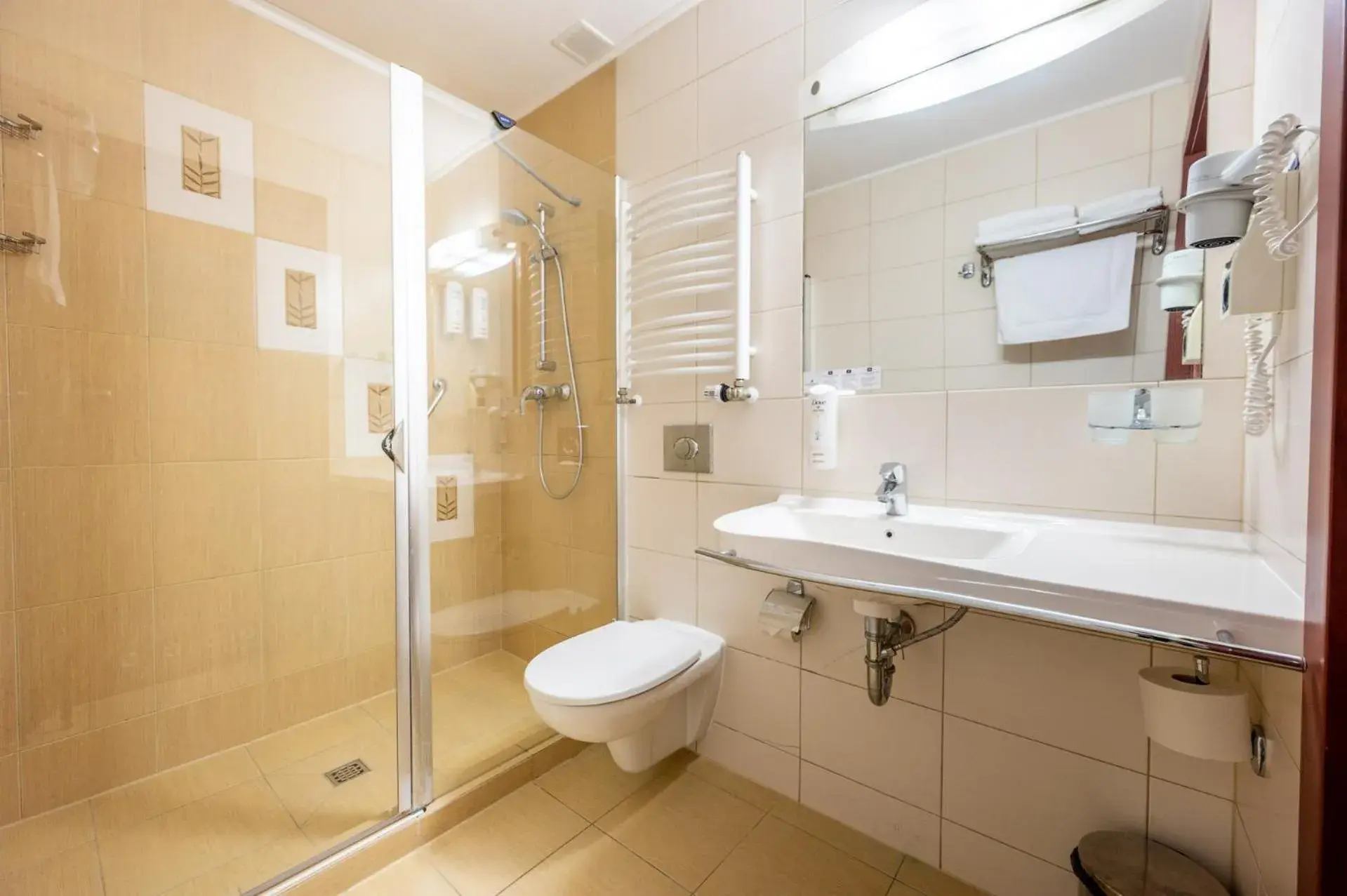 Bathroom in Hotel Lidia Spa & Wellness