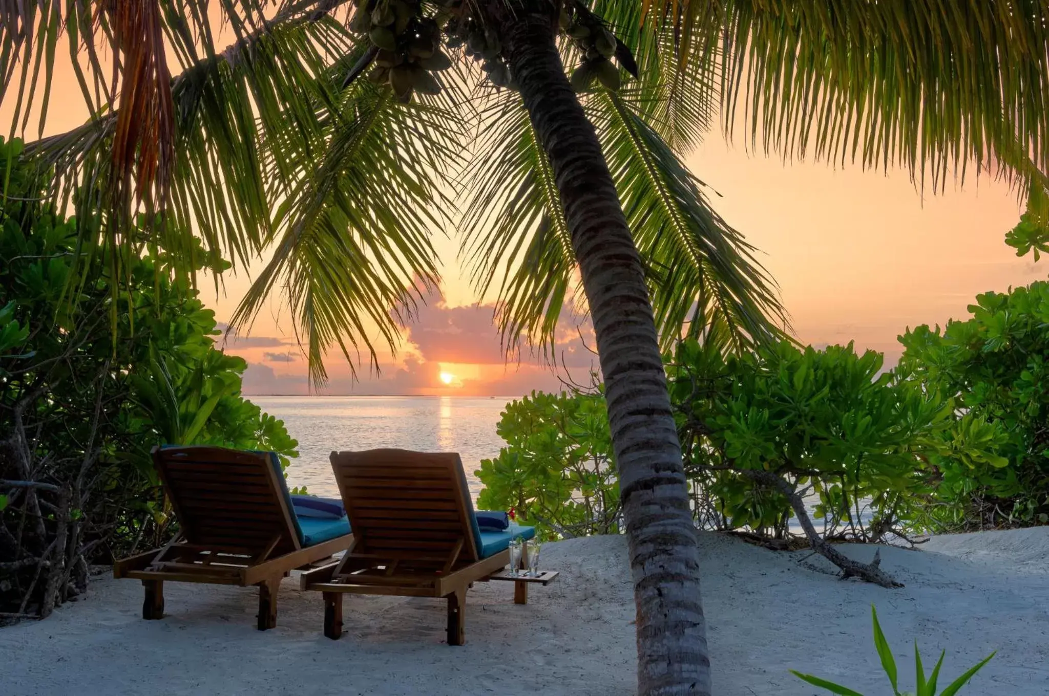 View (from property/room) in Canareef Resort Maldives