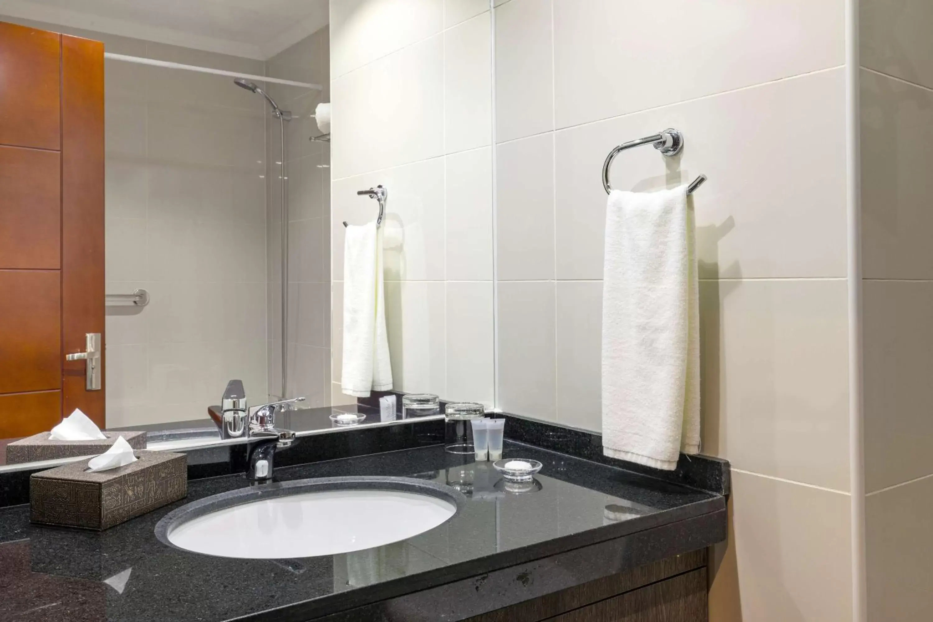 Shower, Bathroom in Best Western Estacion Central