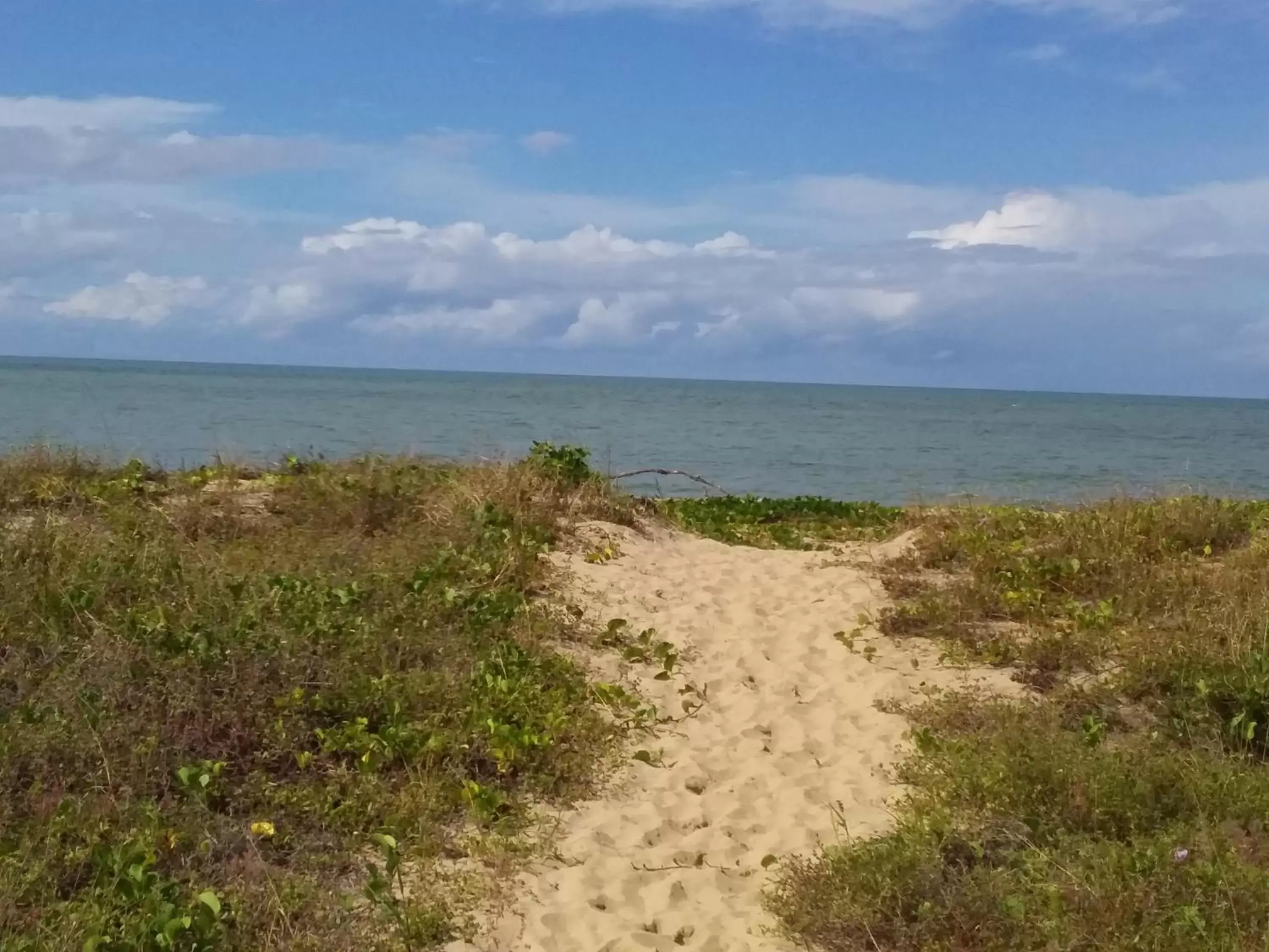 Beach in The York Beachfront Holiday Apartments