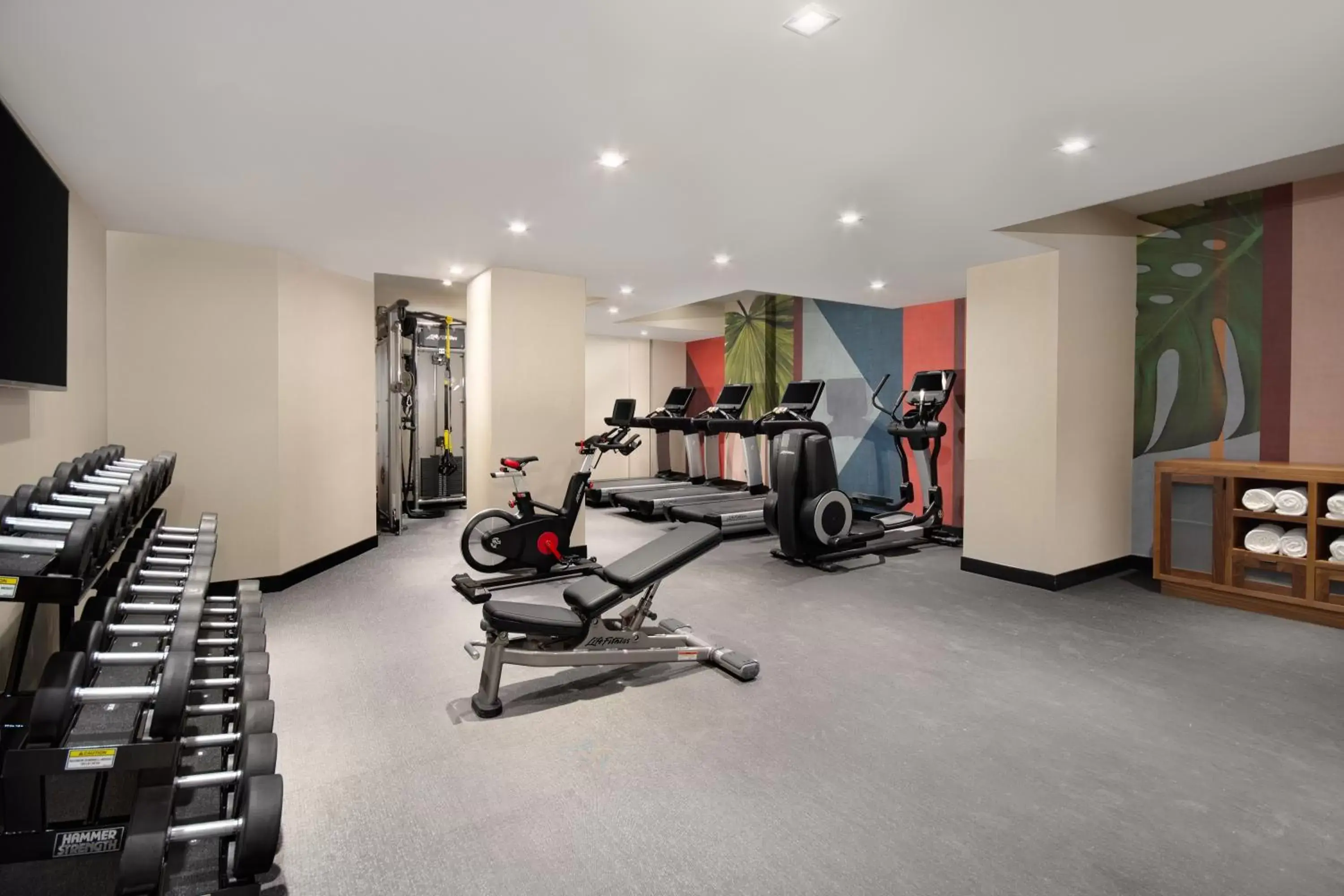 Fitness centre/facilities, Fitness Center/Facilities in Hyatt Centric Midtown 5th Avenue New York