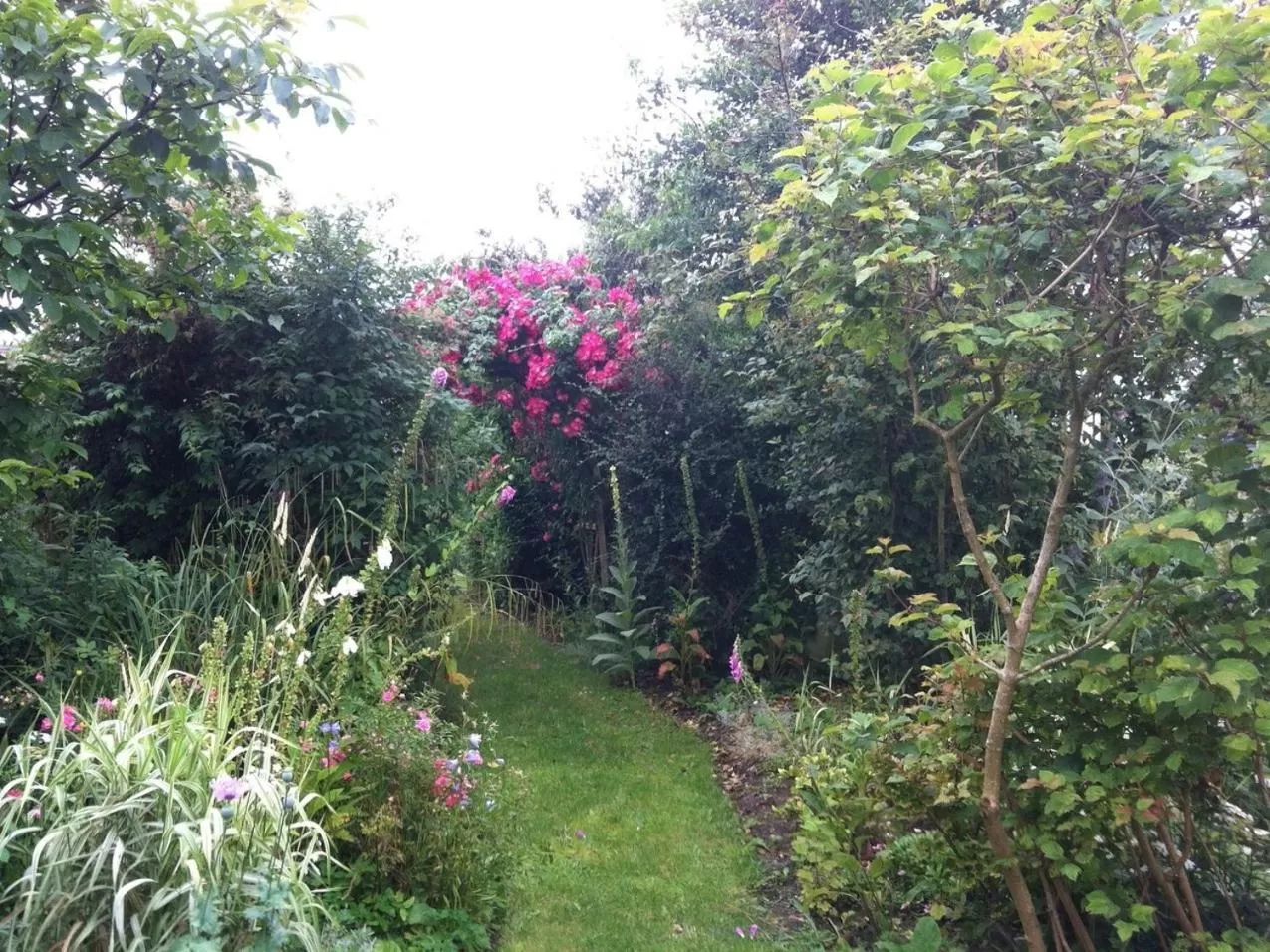 Property building in Laurel Lodge