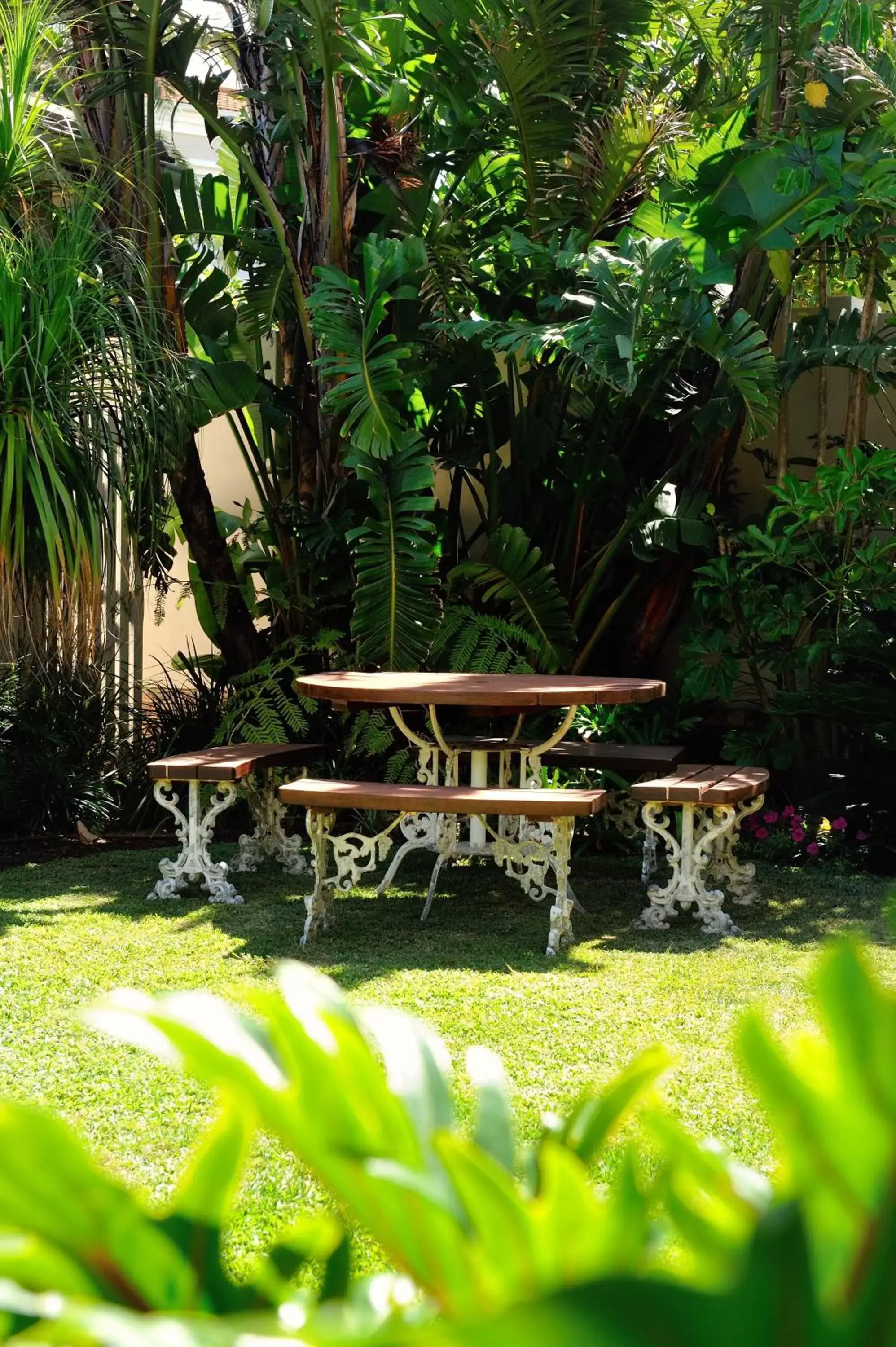 Garden in Beachwalk Bed and Breakfast