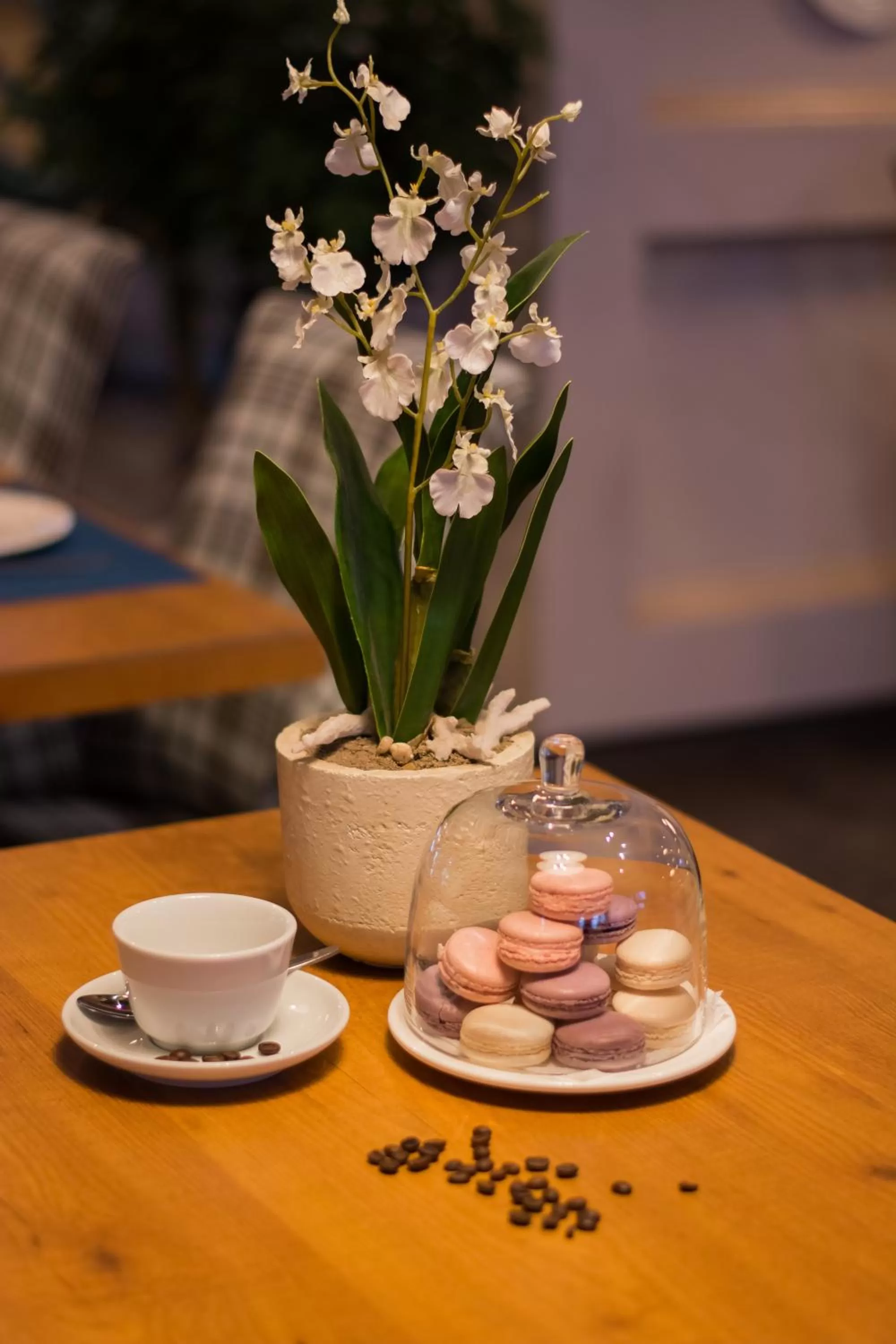 Restaurant/places to eat in Red Village Hotel