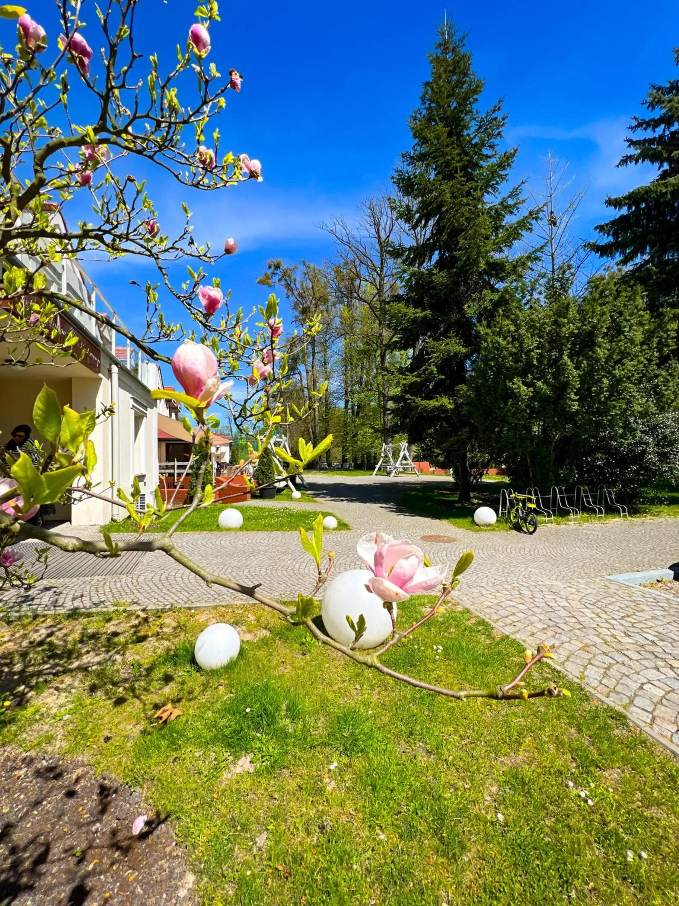 Pod Platanem Gliwice Pod Platanem Gliwice