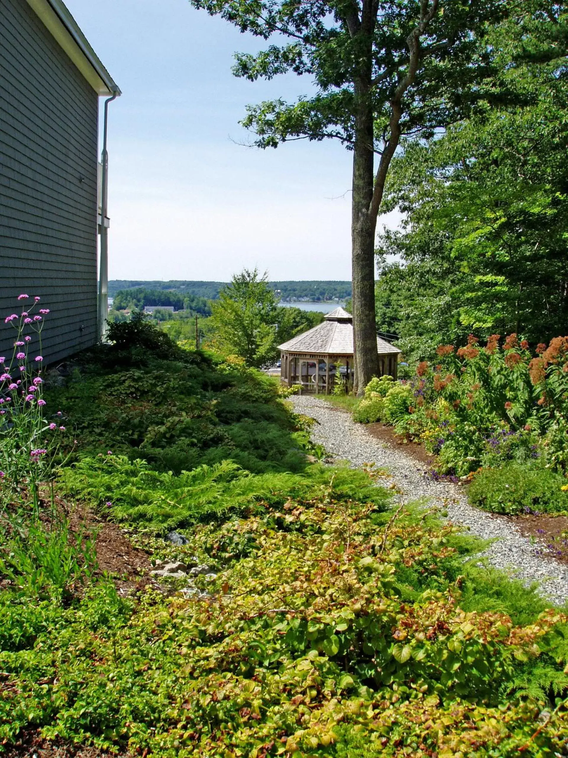 Garden view in Cod Cove Inn