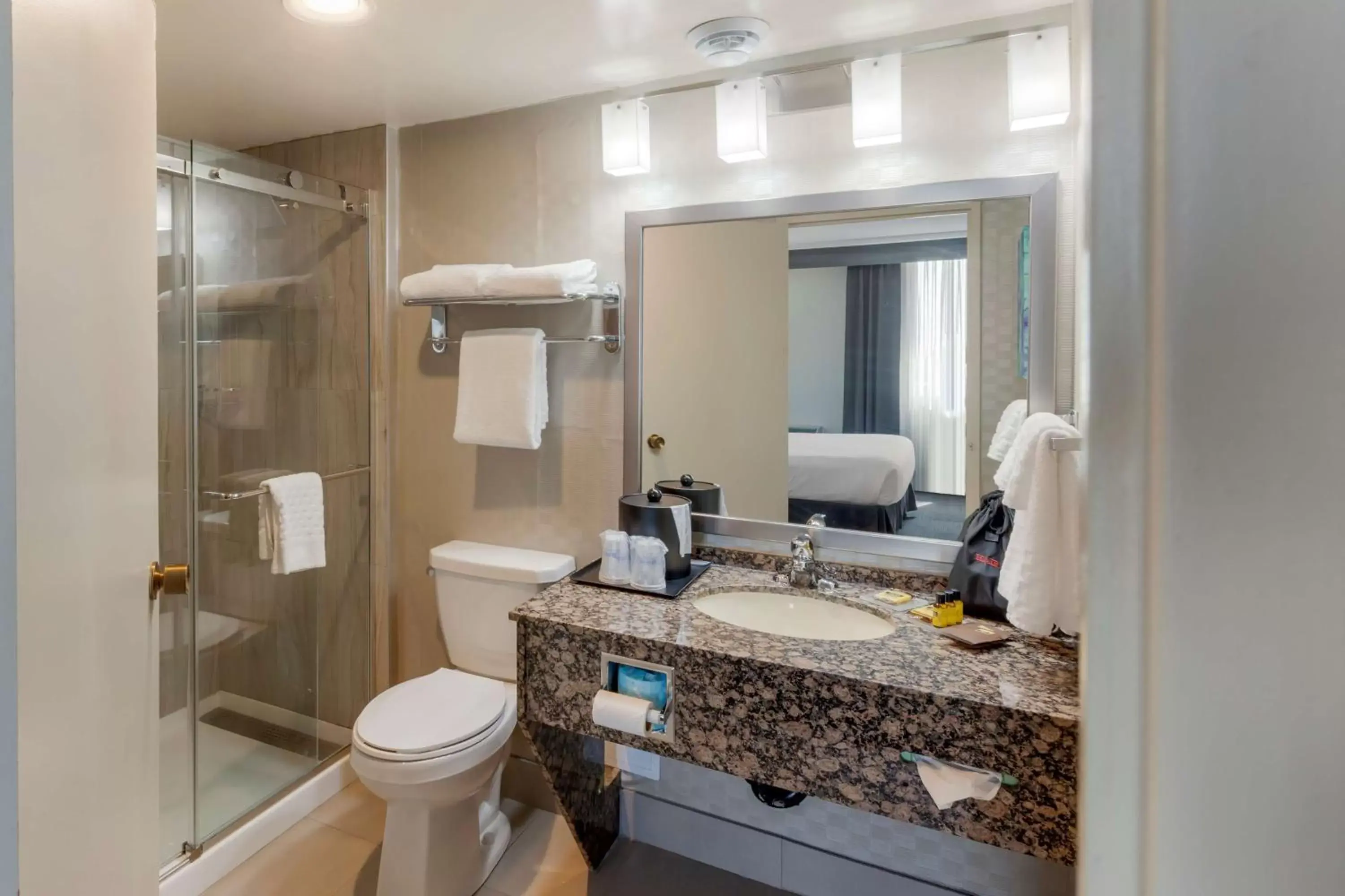 Bathroom in Best Western Plus Toronto Airport Hotel